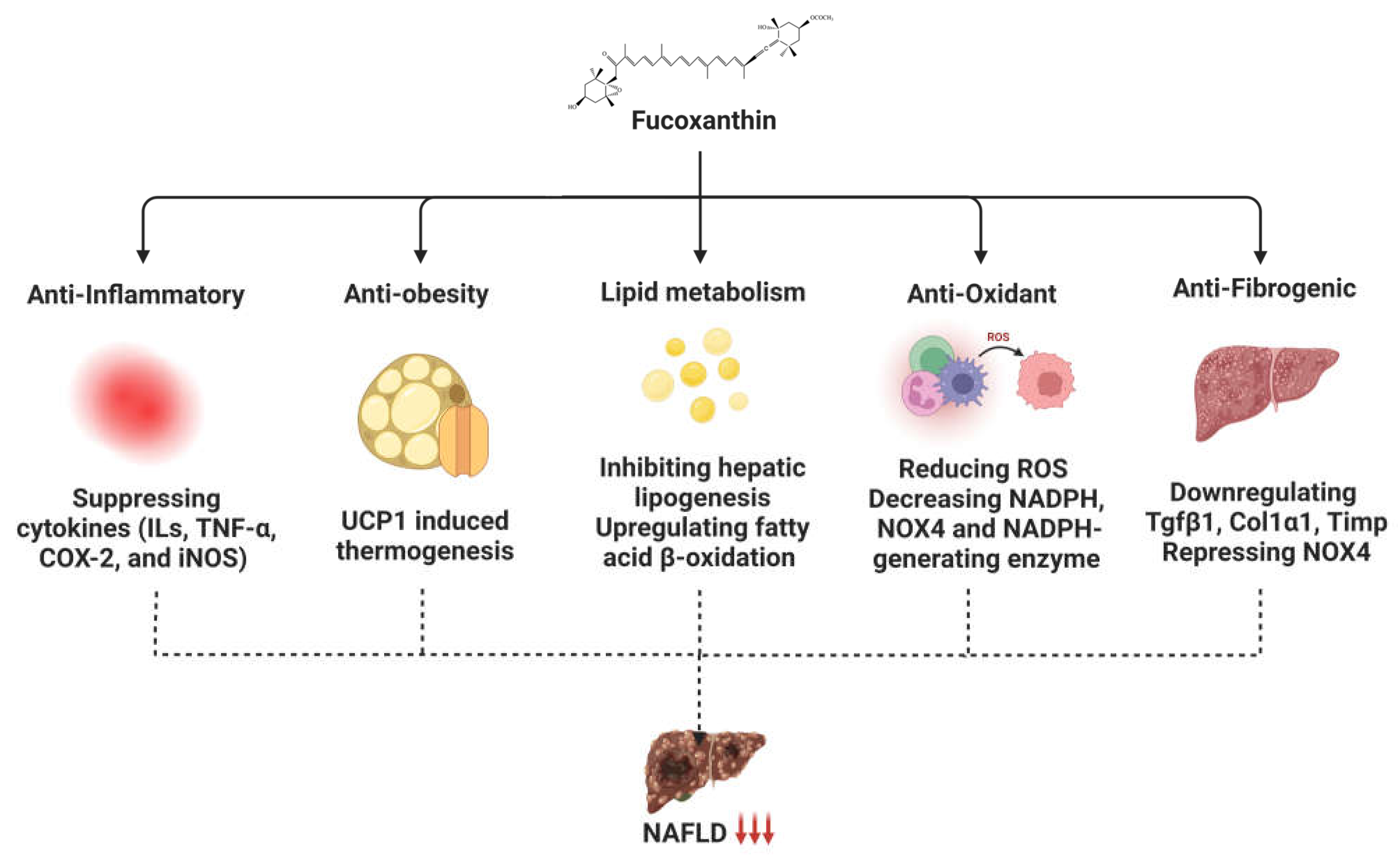 Ijms 24 08203 g002 Ijms 24 08203 g002