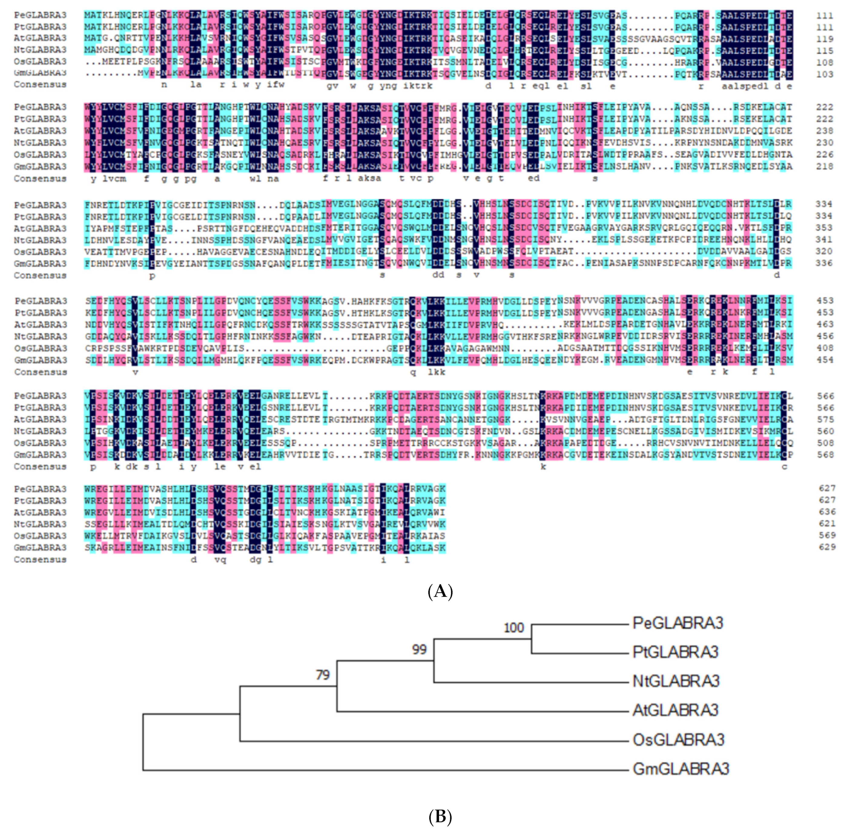 Ijms 24 08208 g005 Ijms 24 08208 g005