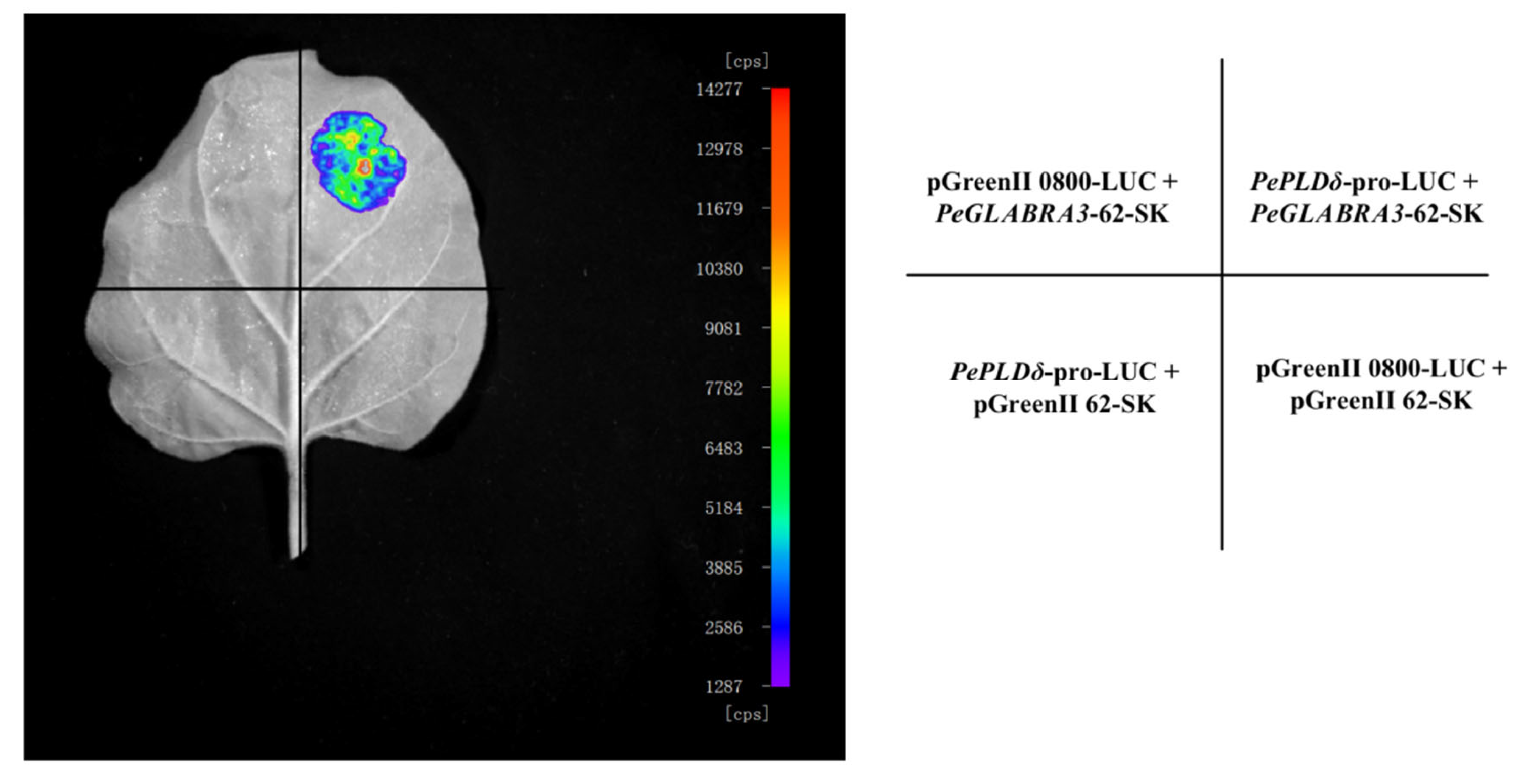 Ijms 24 08208 g008 Ijms 24 08208 g008