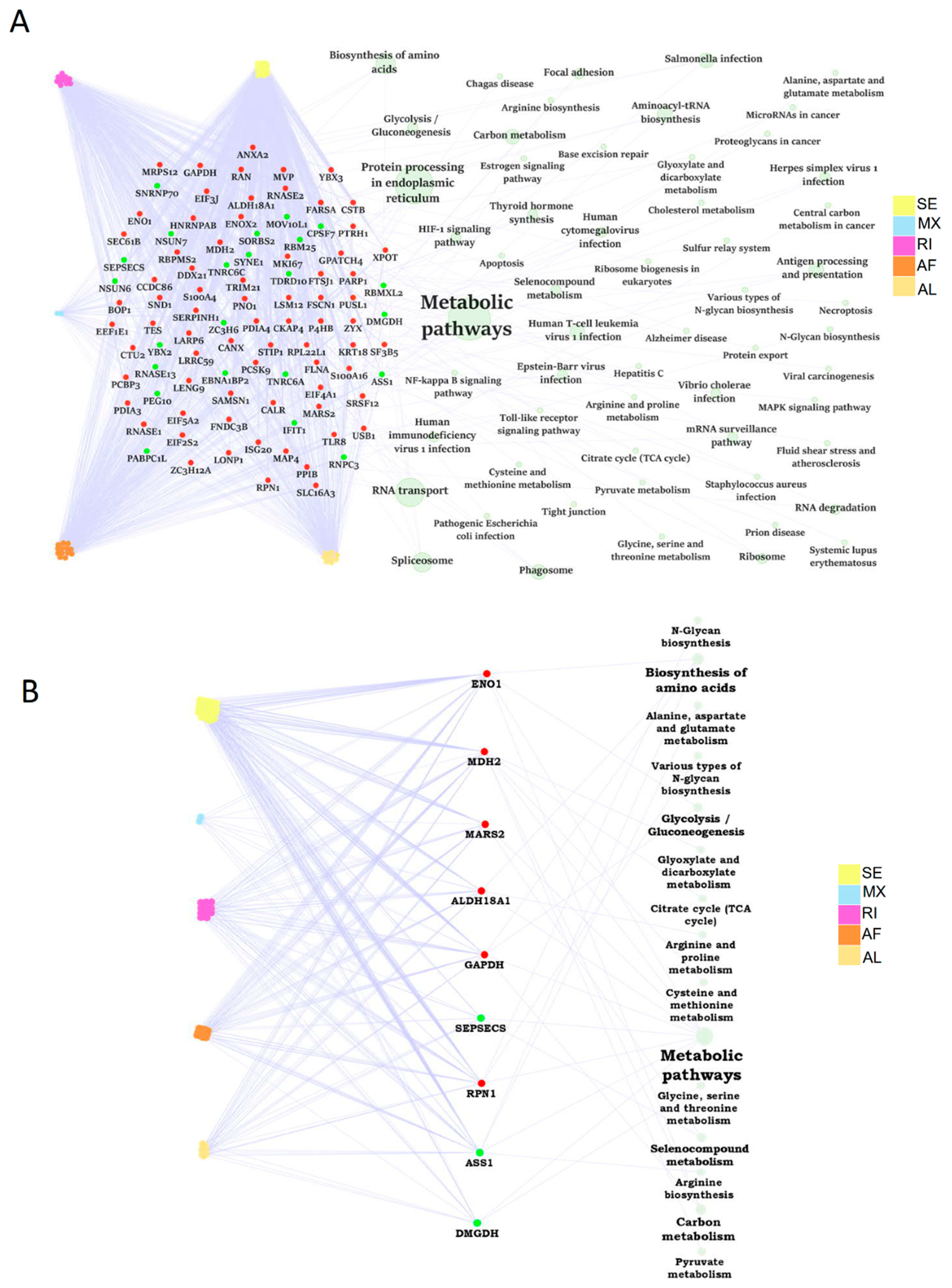 Ijms 24 08216 g006 Ijms 24 08216 g006