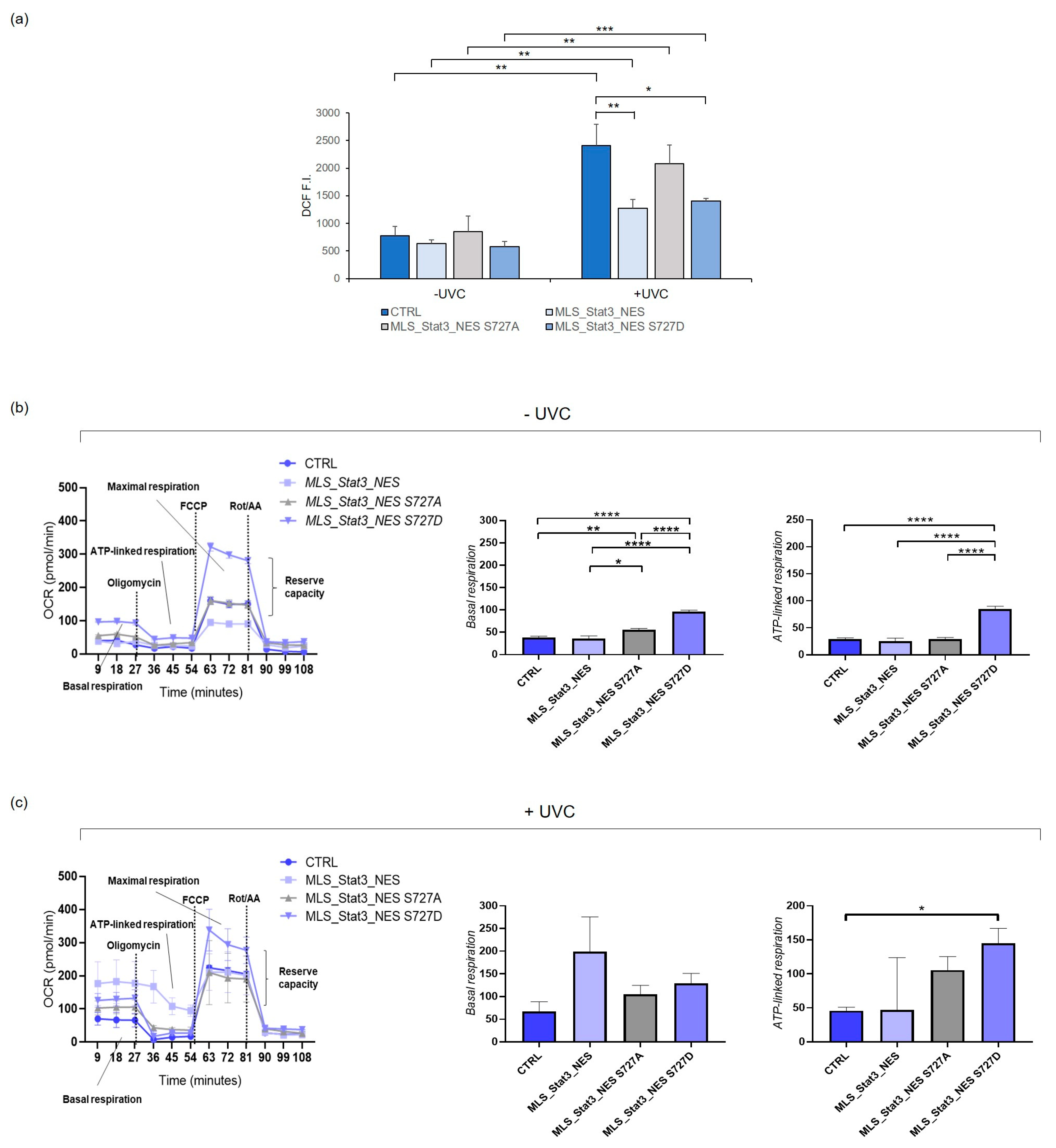 Ijms 24 08232 g004 Ijms 24 08232 g004