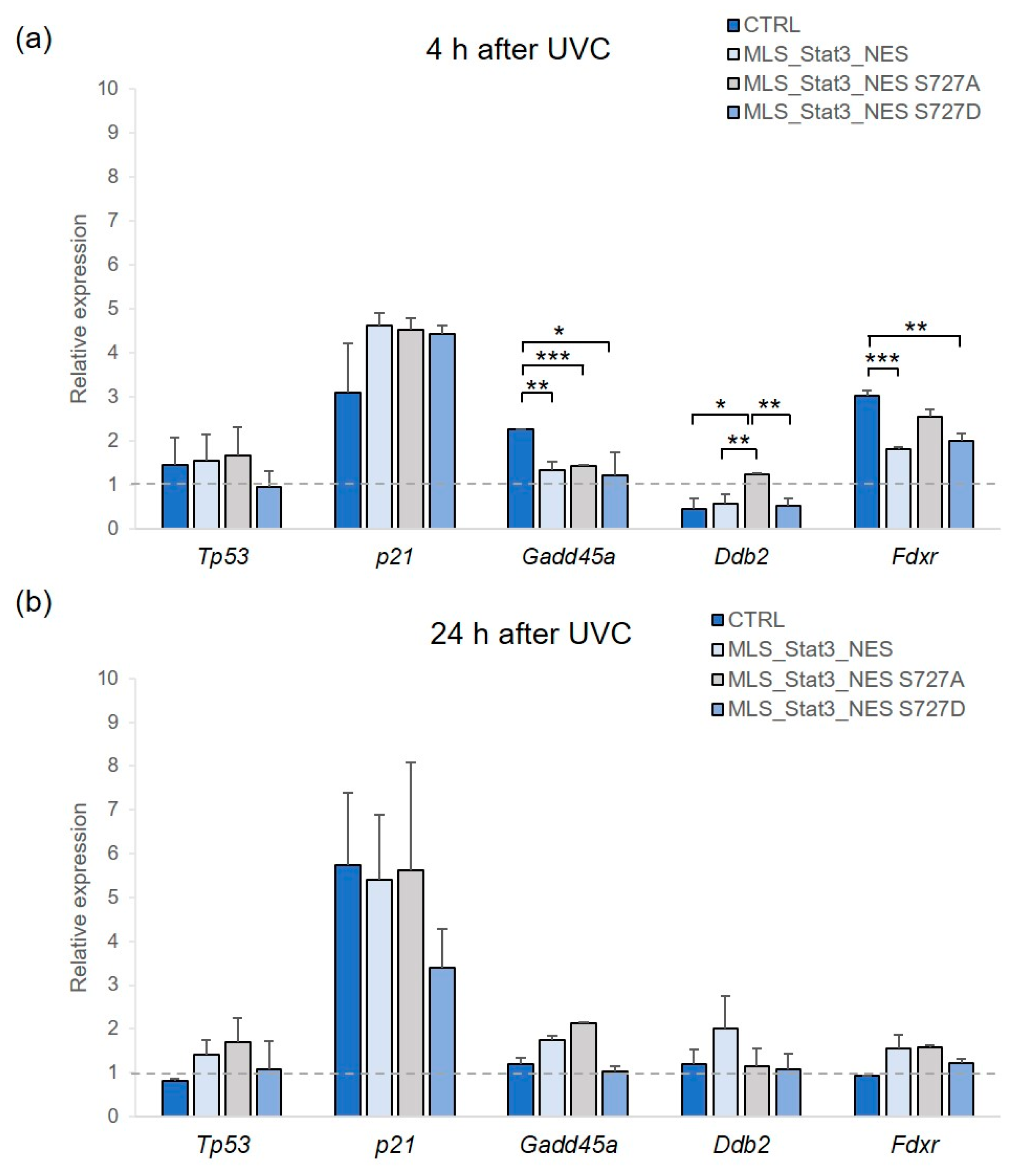 Ijms 24 08232 g005 Ijms 24 08232 g005