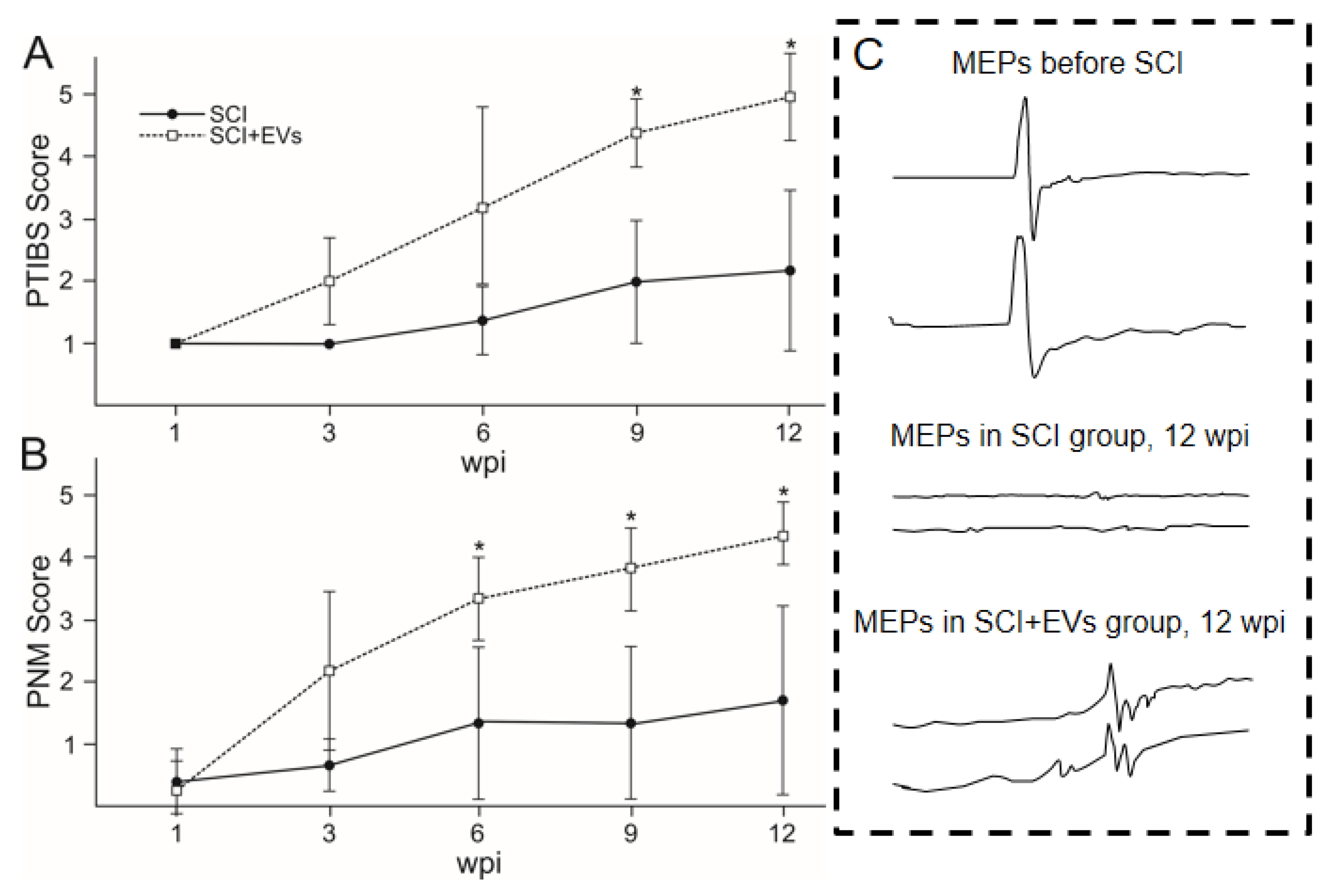 Ijms 24 08240 g002 Ijms 24 08240 g002