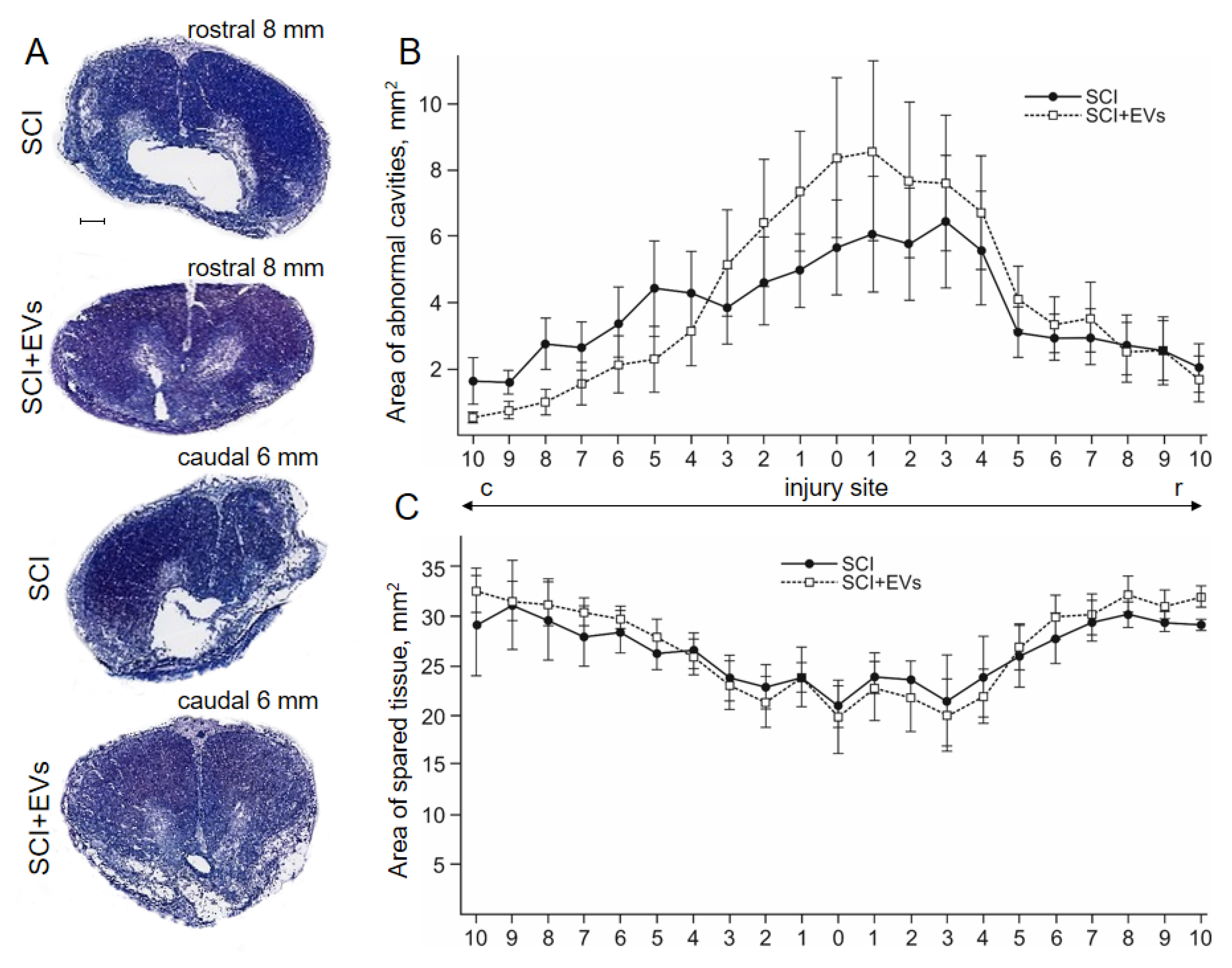 Ijms 24 08240 g004 Ijms 24 08240 g004