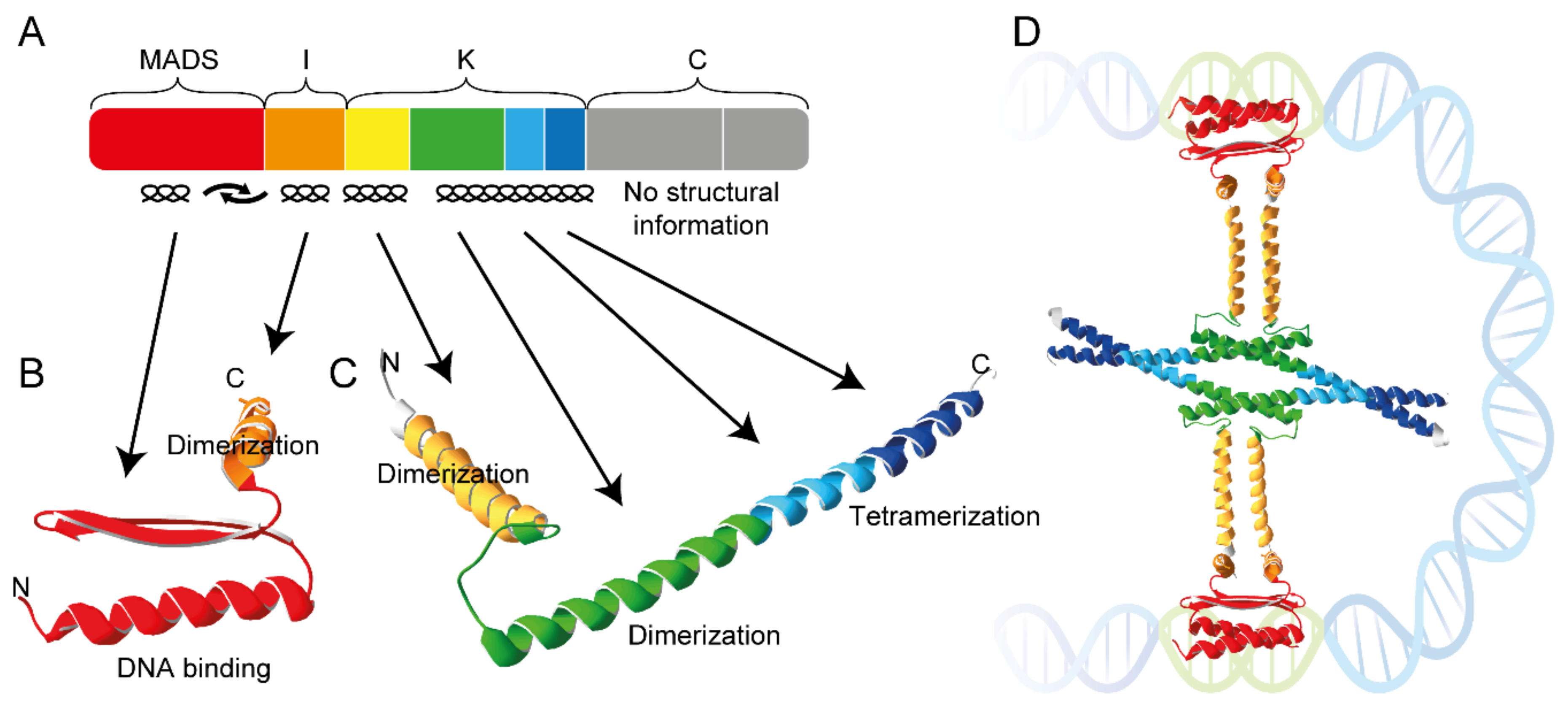 Ijms 24 08253 g001 Ijms 24 08253 g001