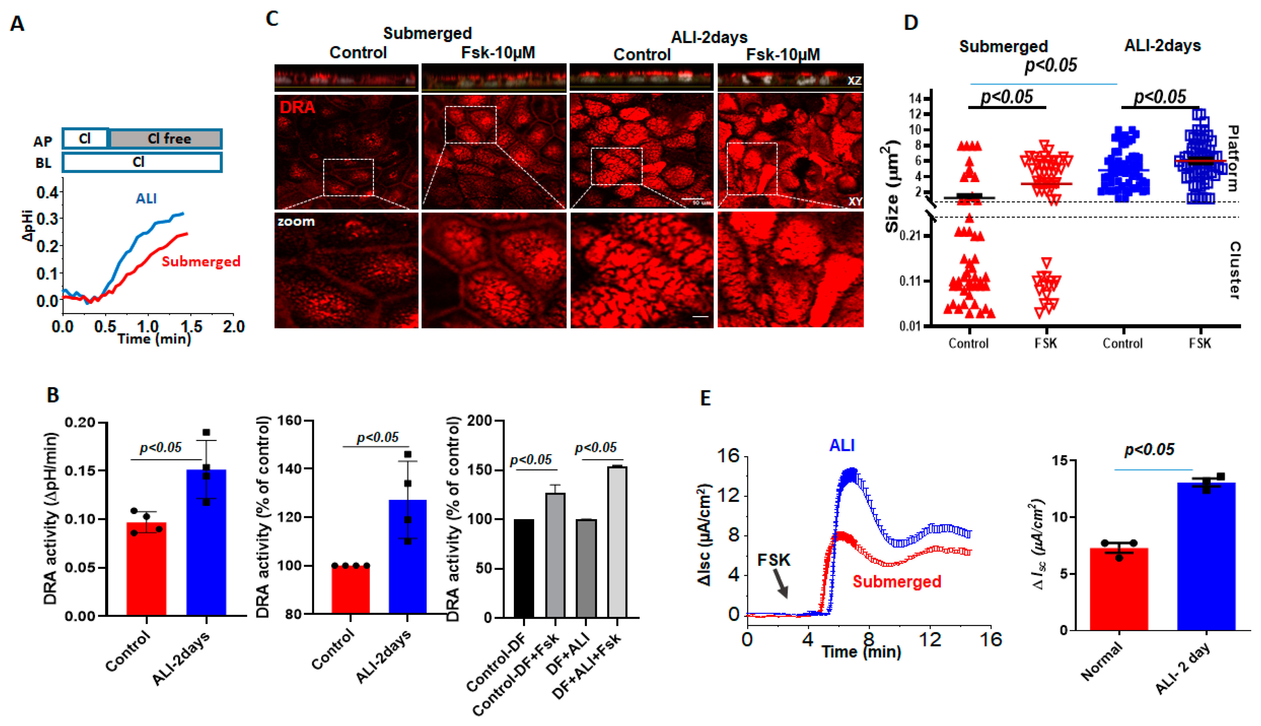 Ijms 24 08273 g003 Ijms 24 08273 g003