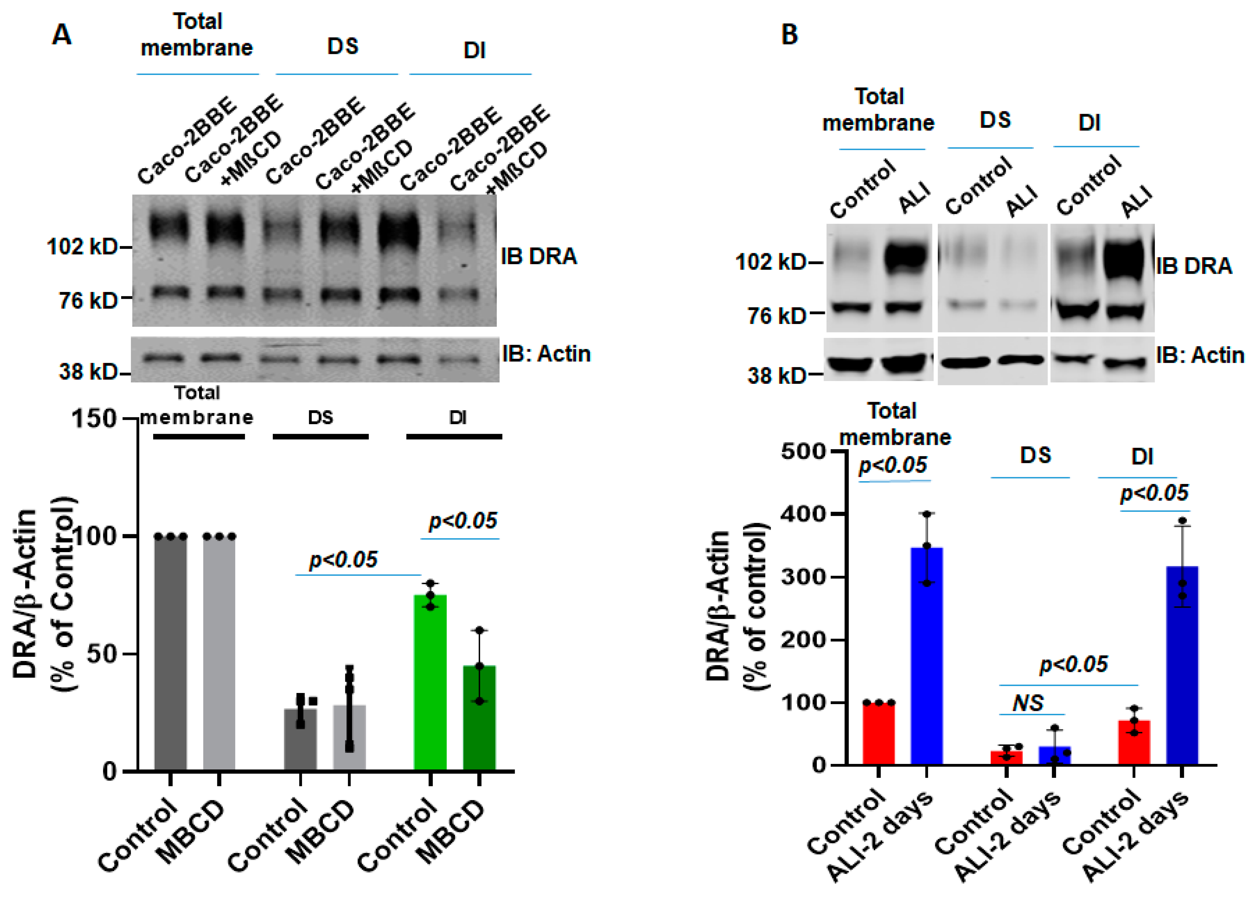 Ijms 24 08273 g005 Ijms 24 08273 g005