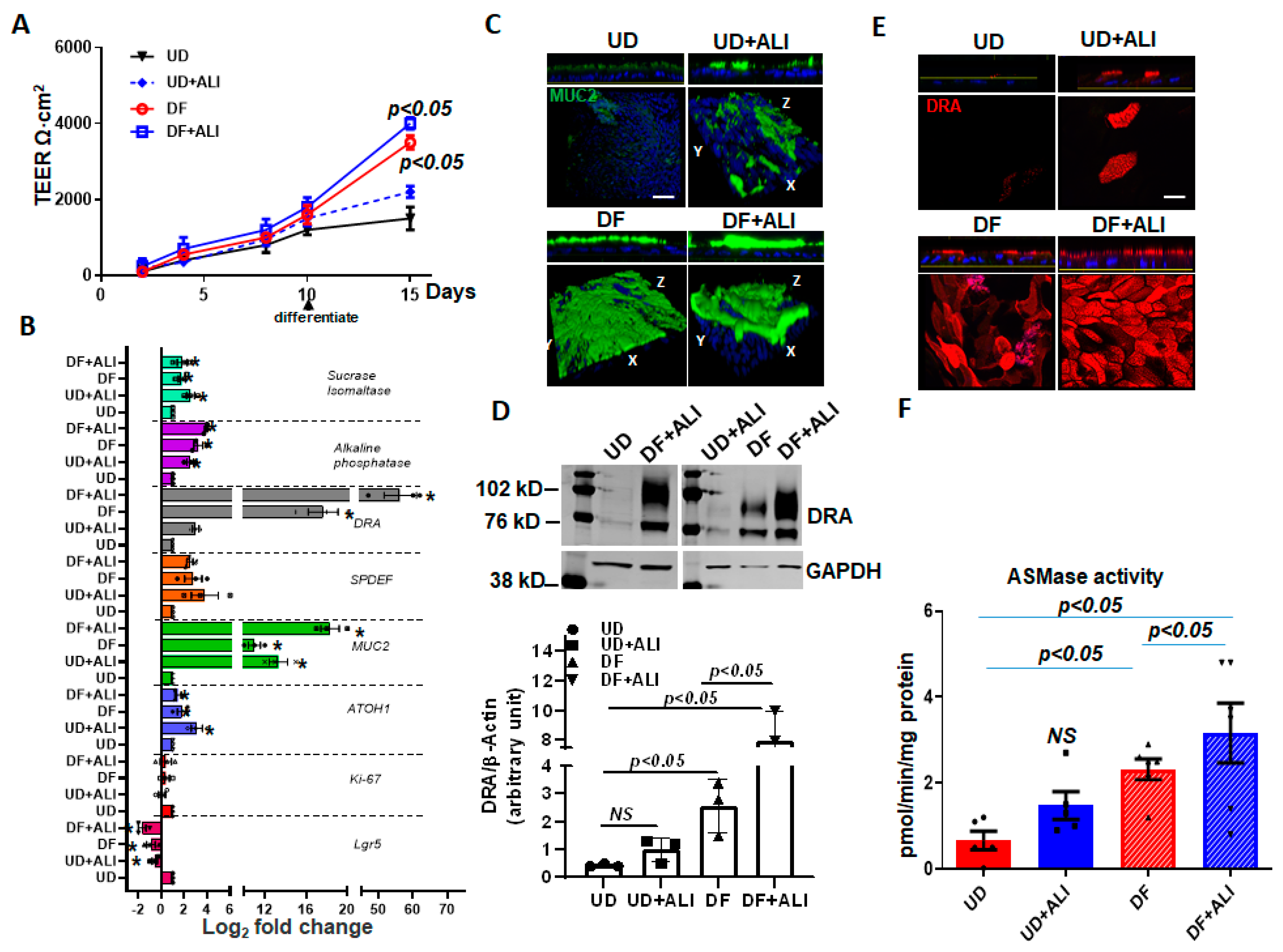 Ijms 24 08273 g006 Ijms 24 08273 g006