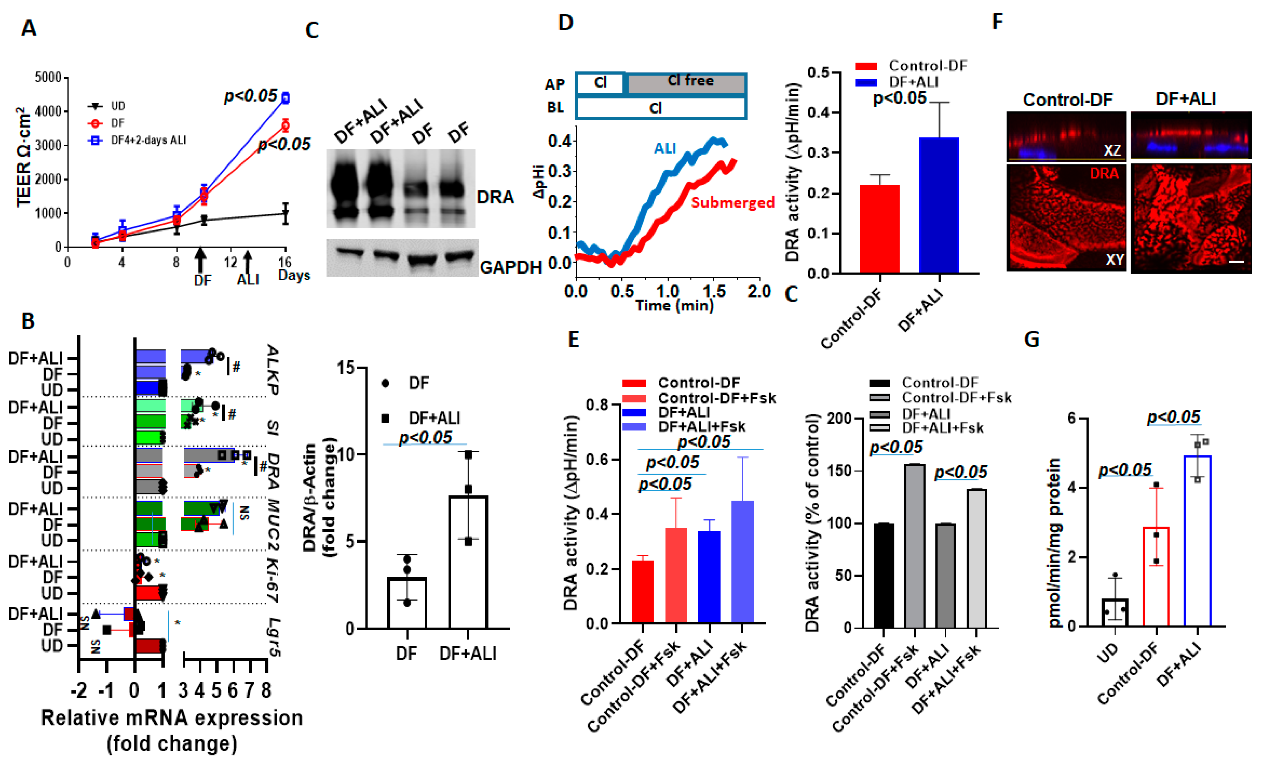 Ijms 24 08273 g007 Ijms 24 08273 g007