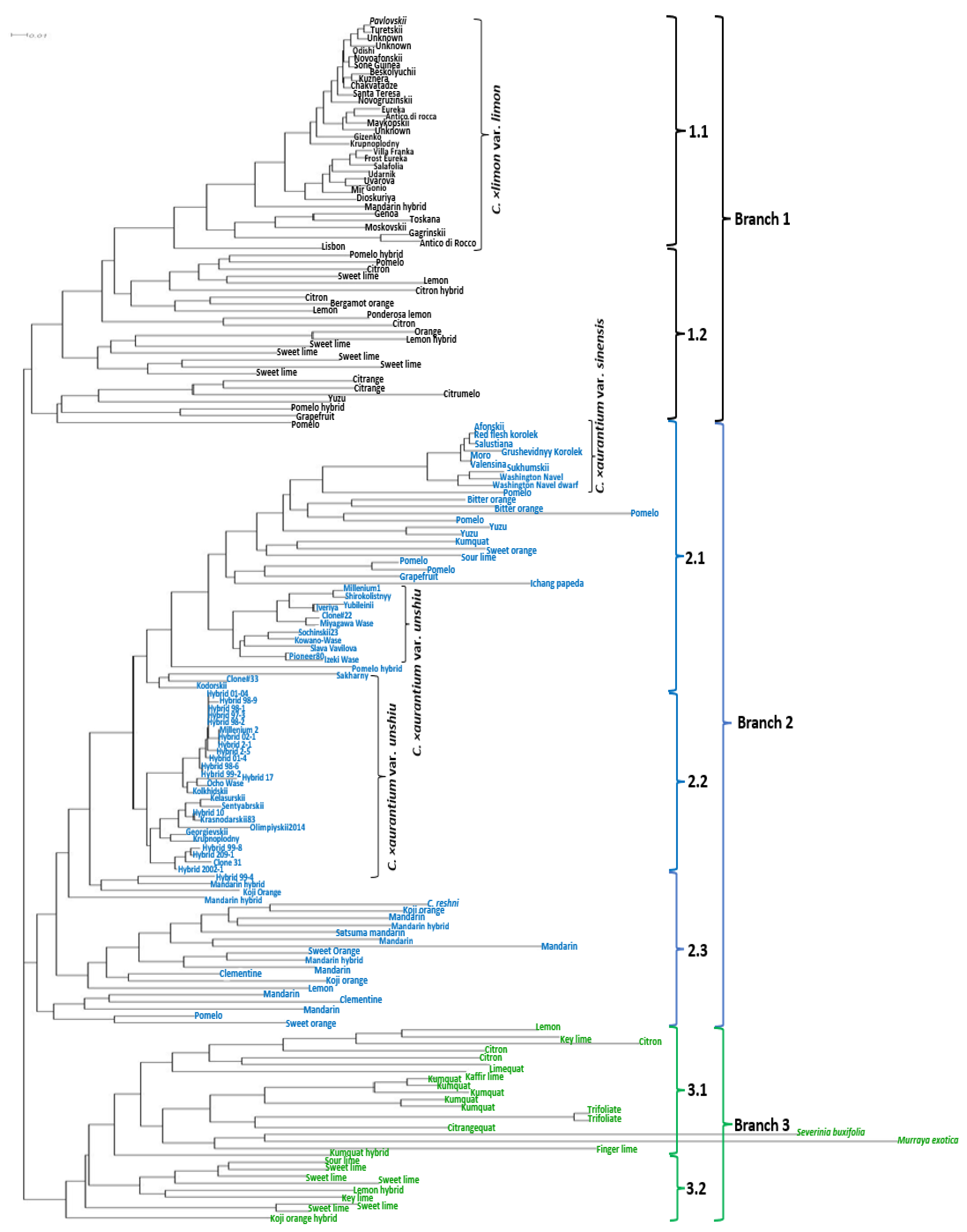 Ijms 24 08276 g003 Ijms 24 08276 g003