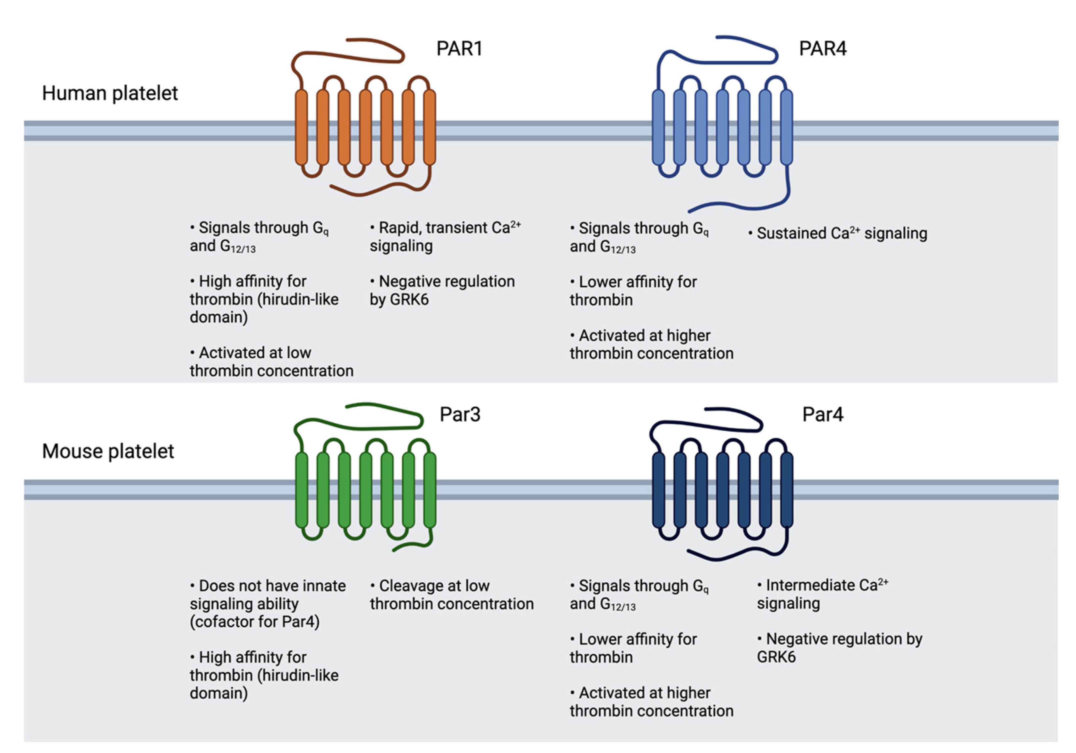 Ijms 24 08298 g002 Ijms 24 08298 g002