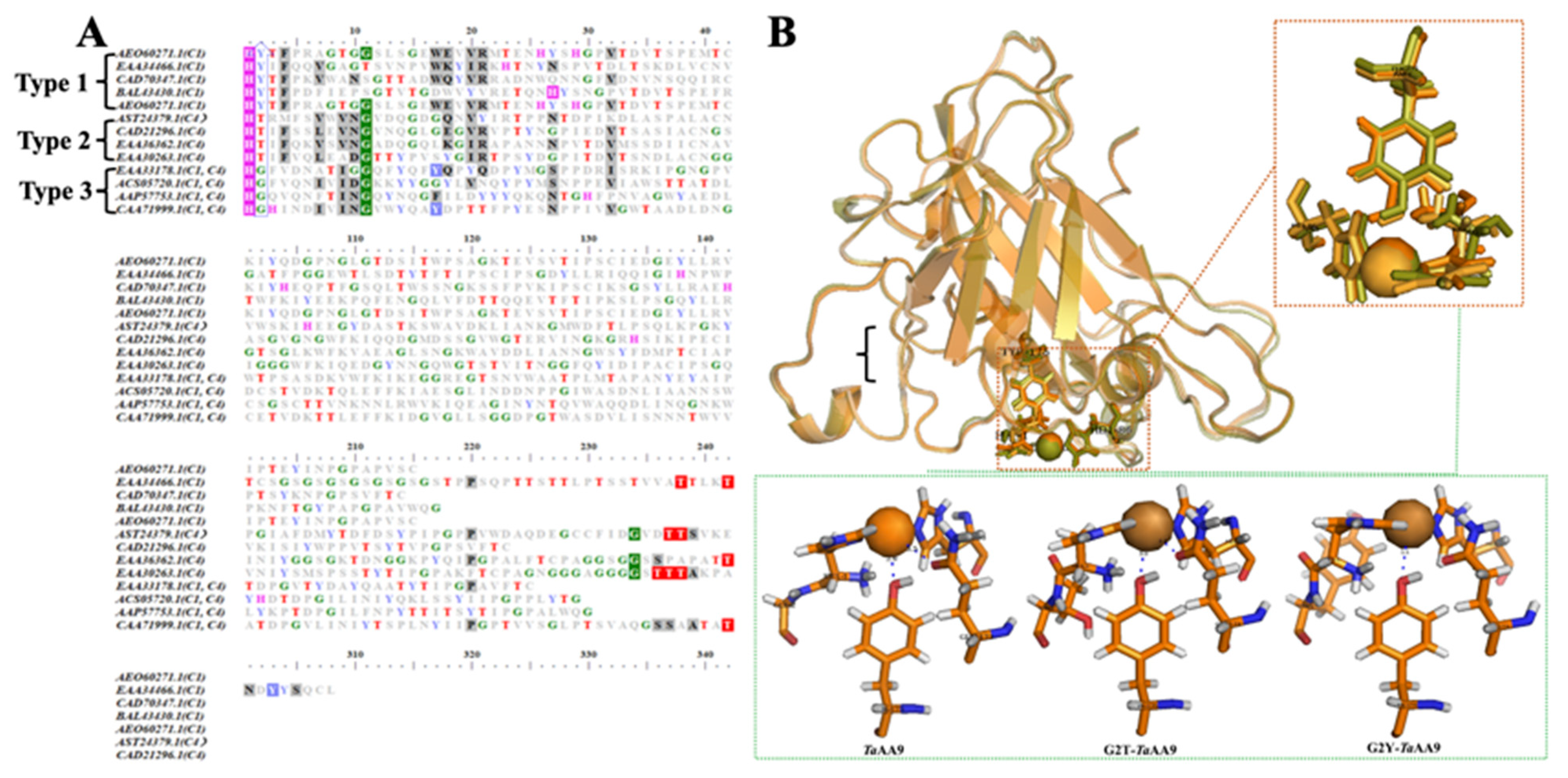 Ijms 24 08300 g001 Ijms 24 08300 g001