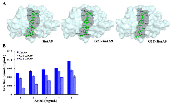 Ijms Free Full Text The Role Of The Residue At Position 2 In The