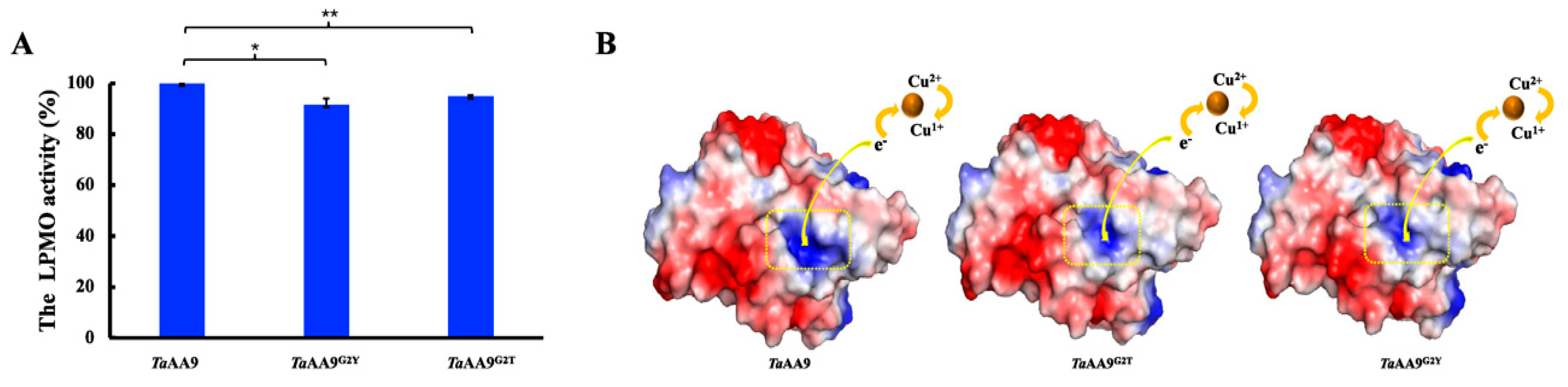 Ijms 24 08300 g004 Ijms 24 08300 g004