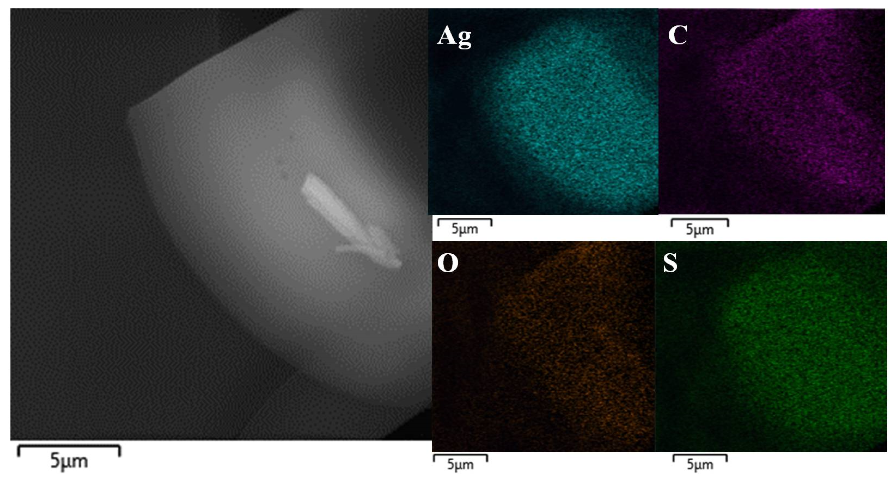 Ijms 24 08306 g004 Ijms 24 08306 g004