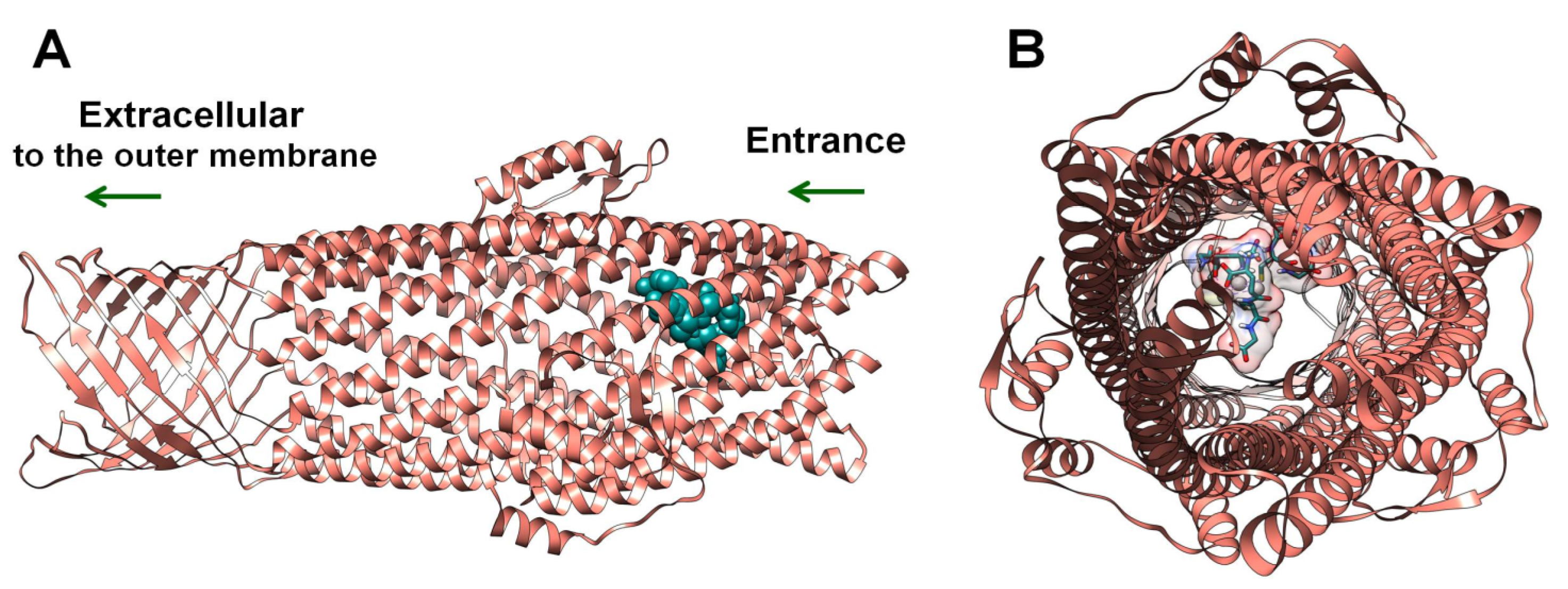 Ijms 24 08306 g008 Ijms 24 08306 g008
