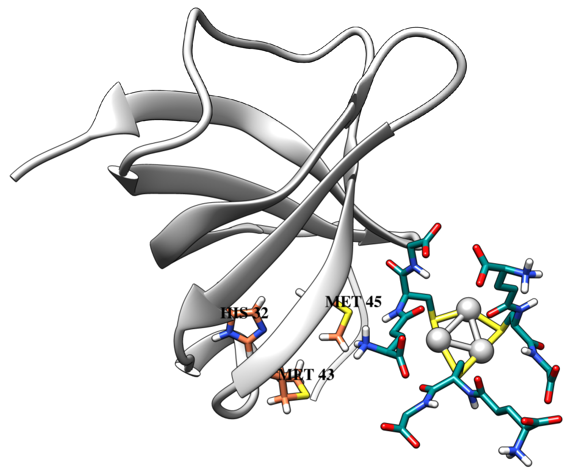 Ijms 24 08306 g009 Ijms 24 08306 g009