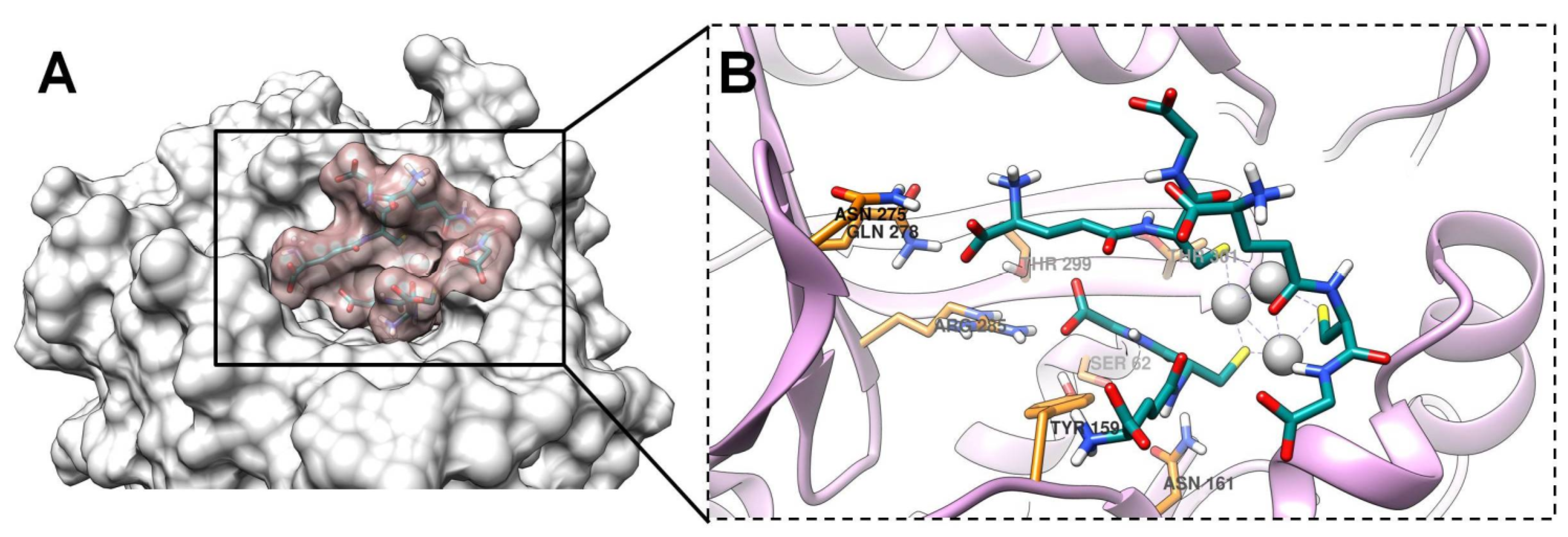 Ijms 24 08306 g010 Ijms 24 08306 g010