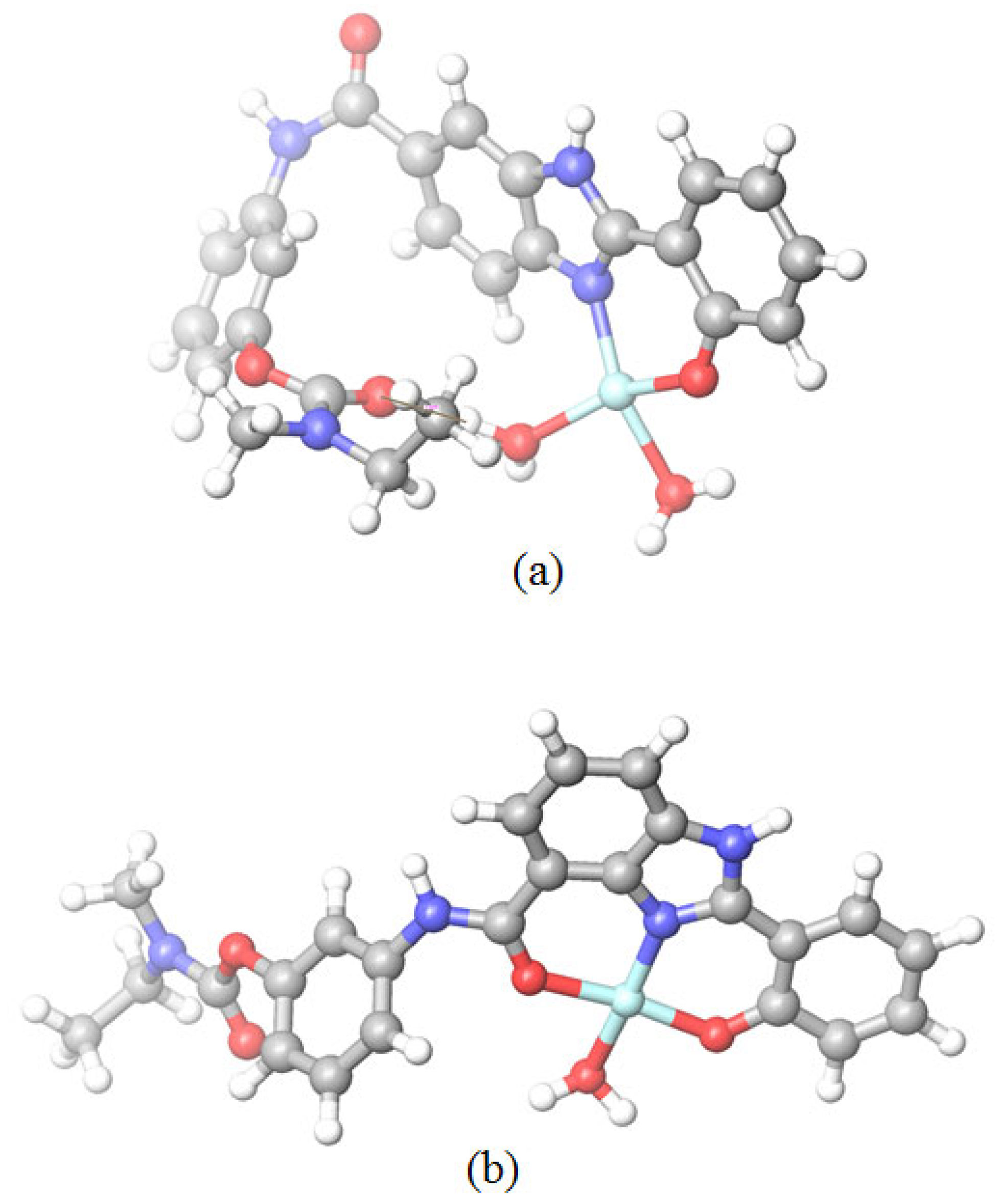 Ijms 24 08312 g006 Ijms 24 08312 g006