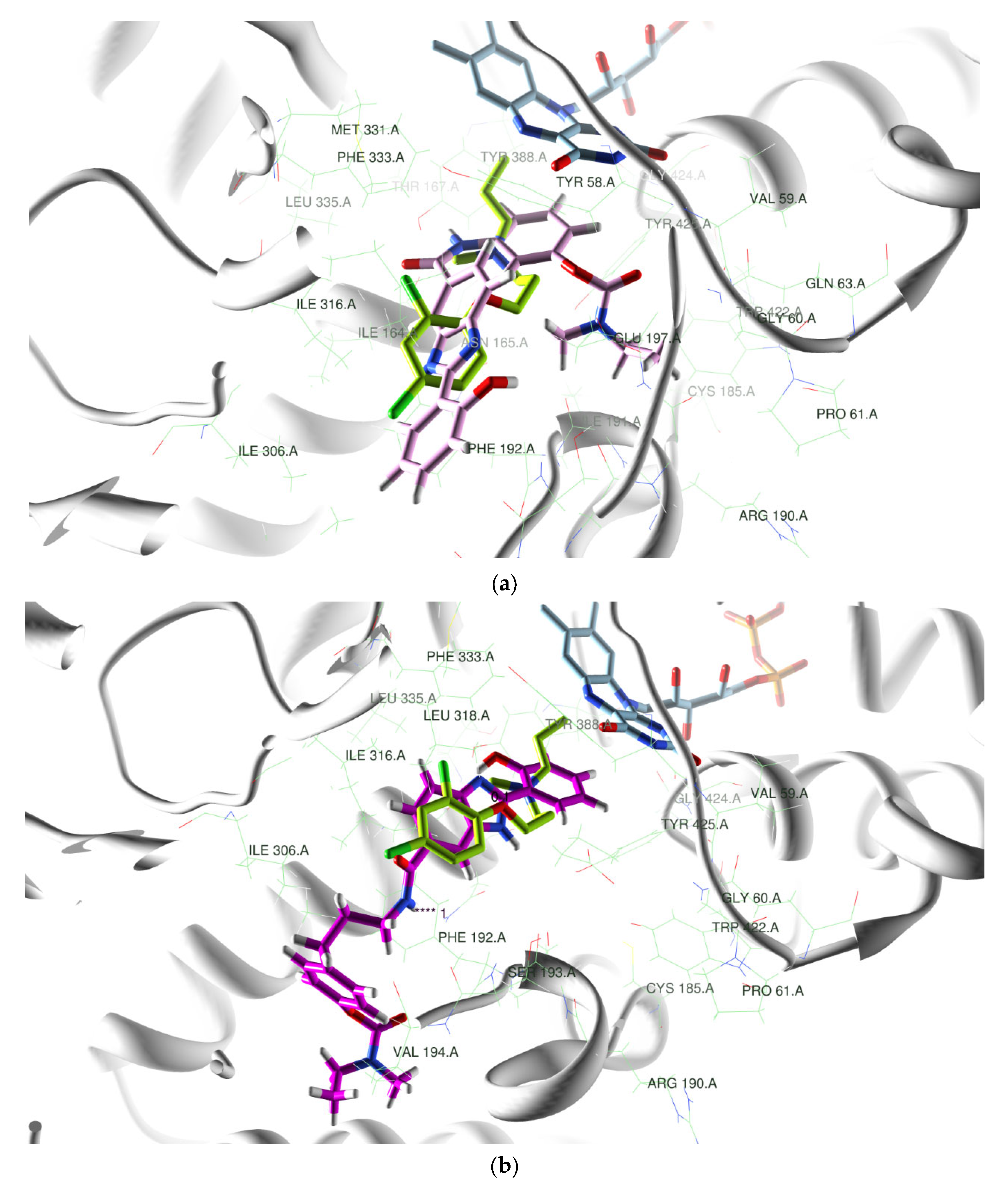 Ijms 24 08312 g008a Ijms 24 08312 g008a
