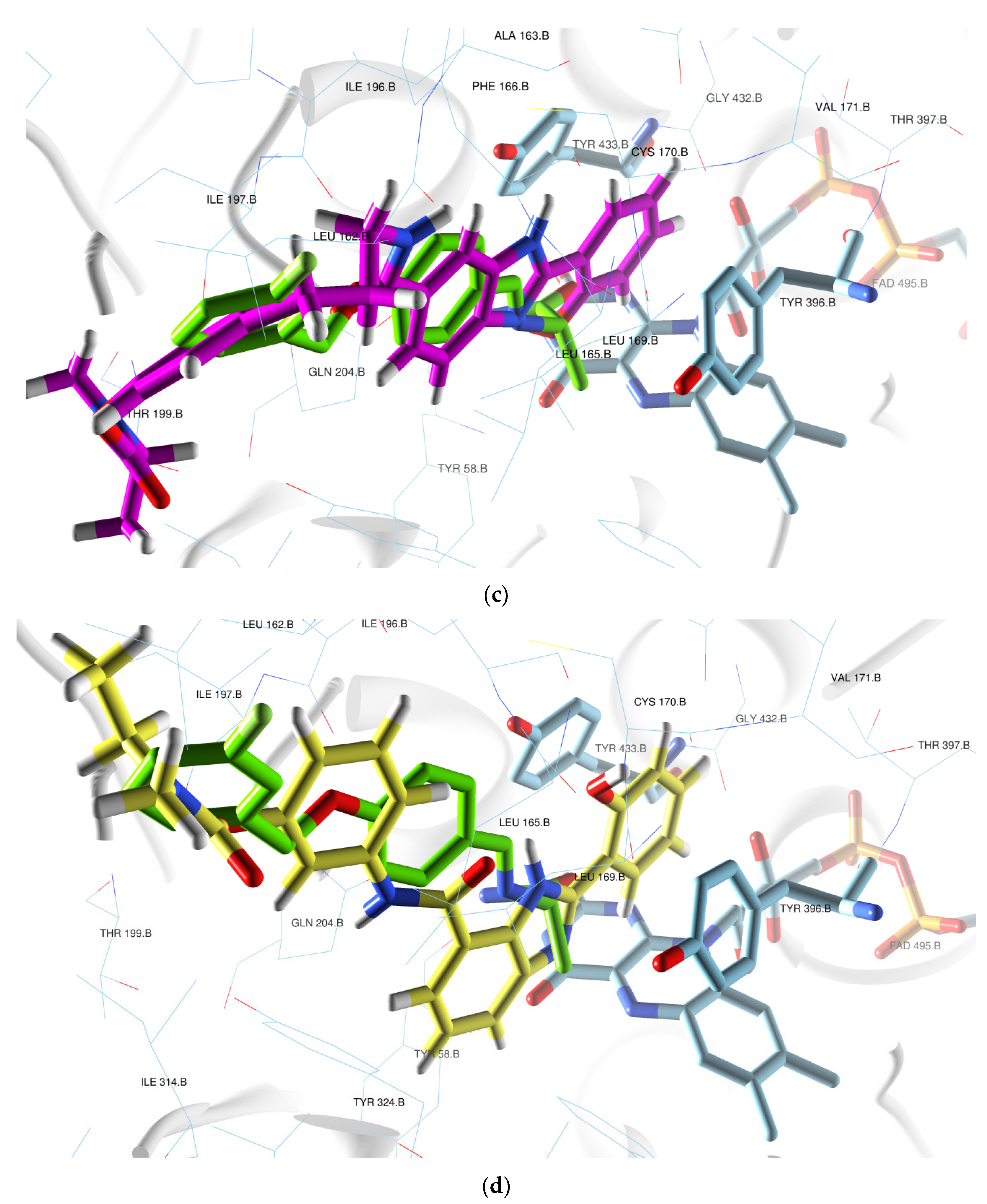 Ijms 24 08312 g008b Ijms 24 08312 g008b