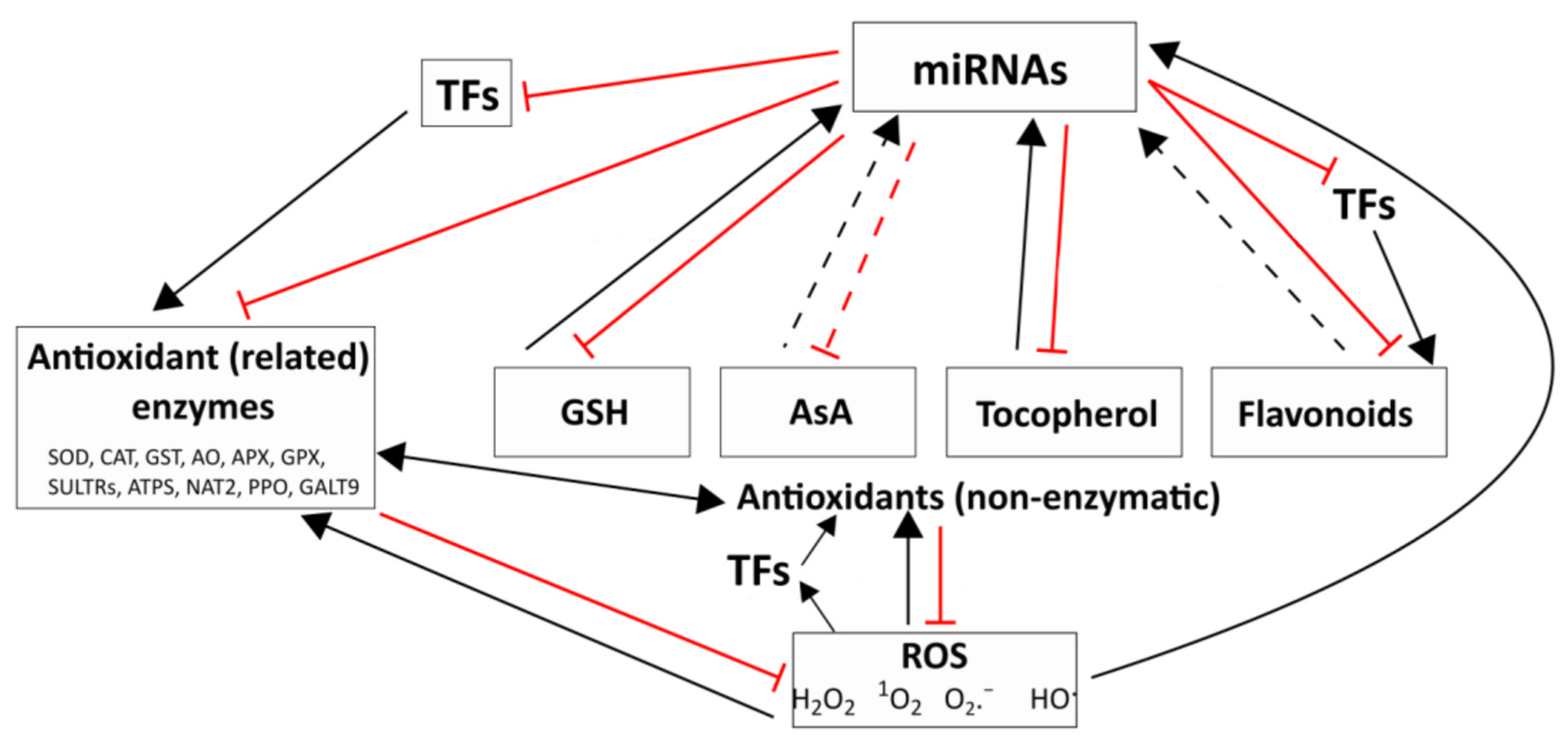Ijms 24 08323 g001 Ijms 24 08323 g001