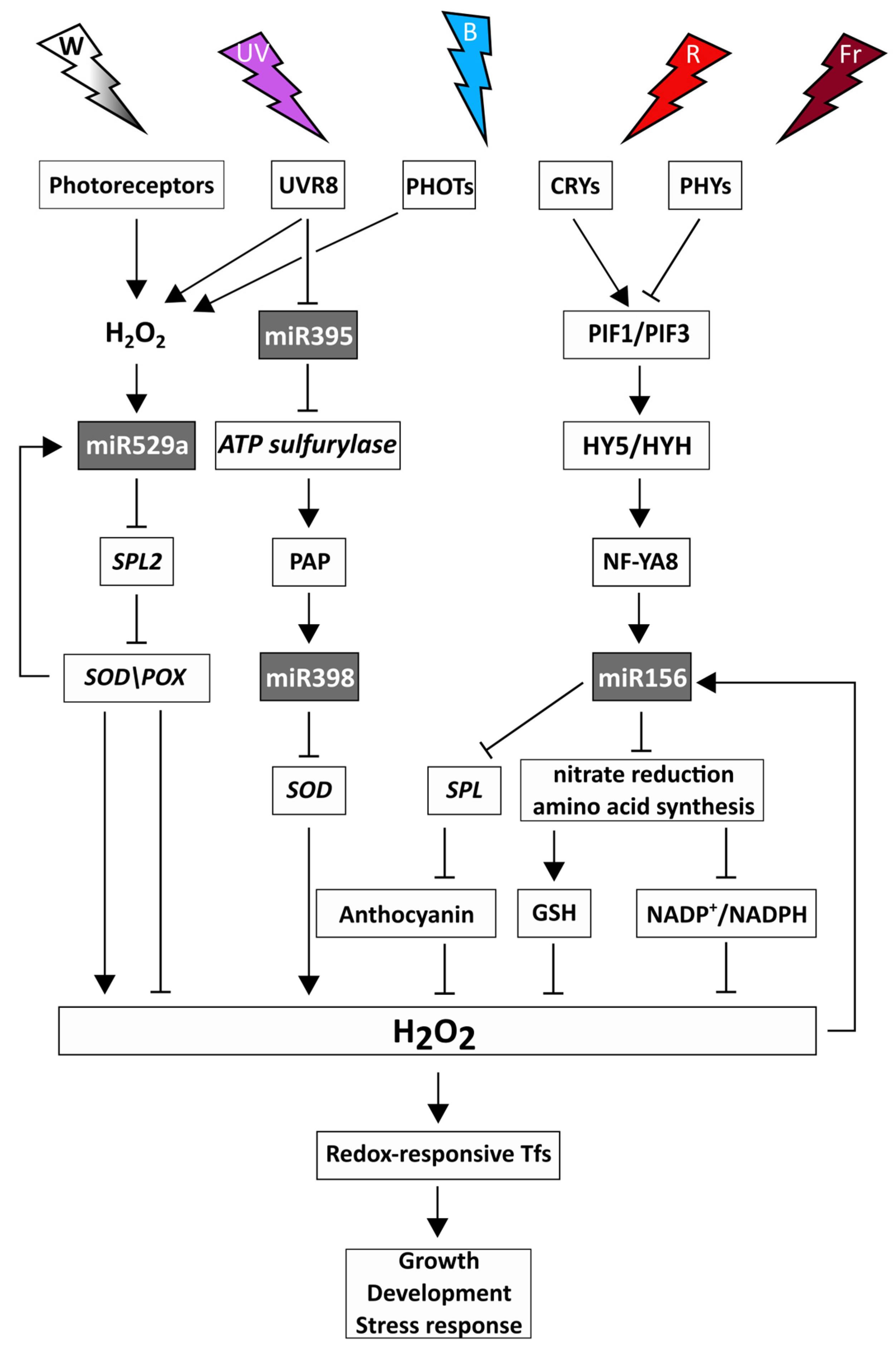 Ijms 24 08323 g003 Ijms 24 08323 g003