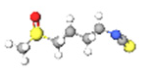 Ijms 24 08333 i025 Ijms 24 08333 i025