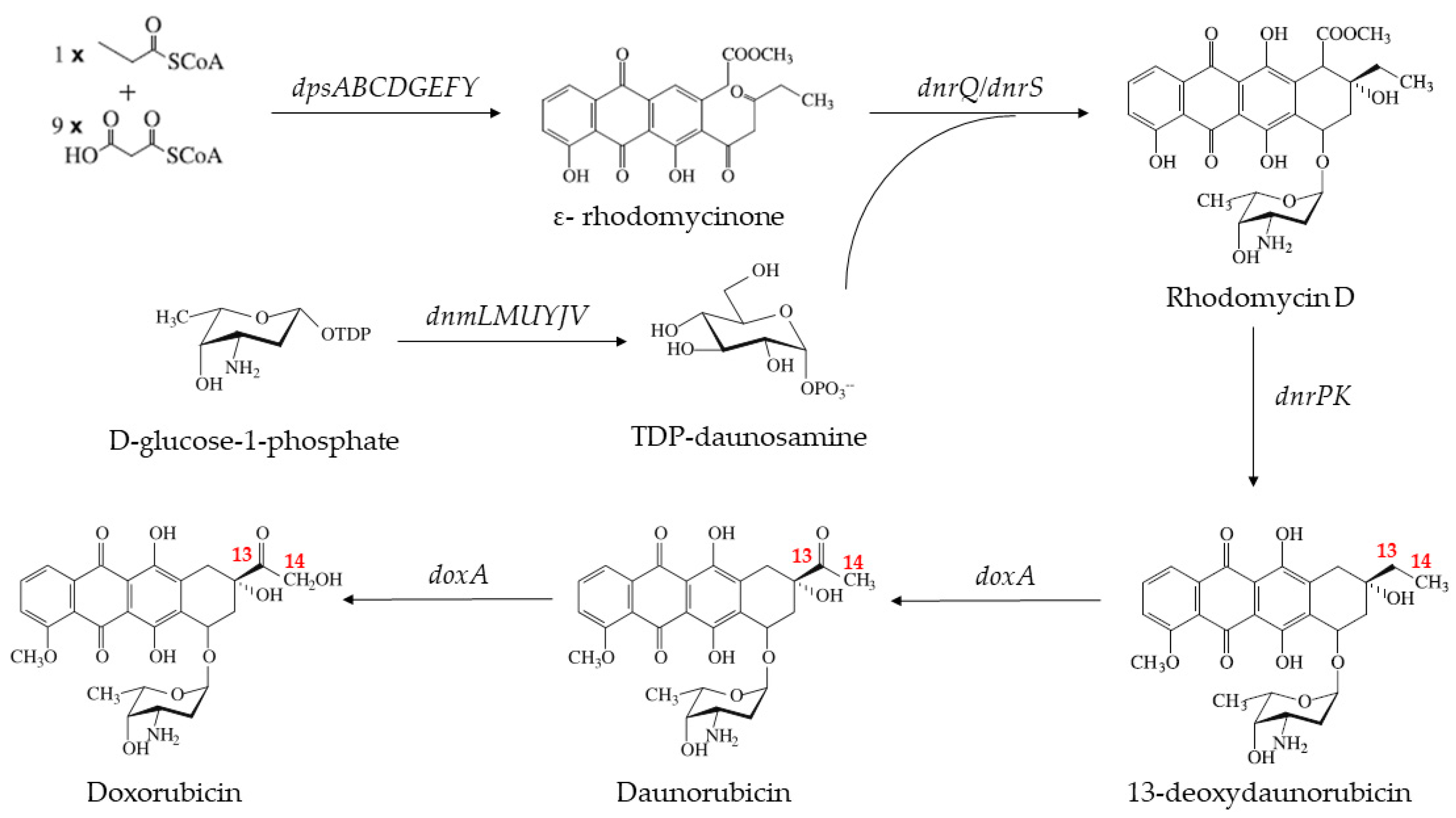 Ijms 24 08337 g001 Ijms 24 08337 g001