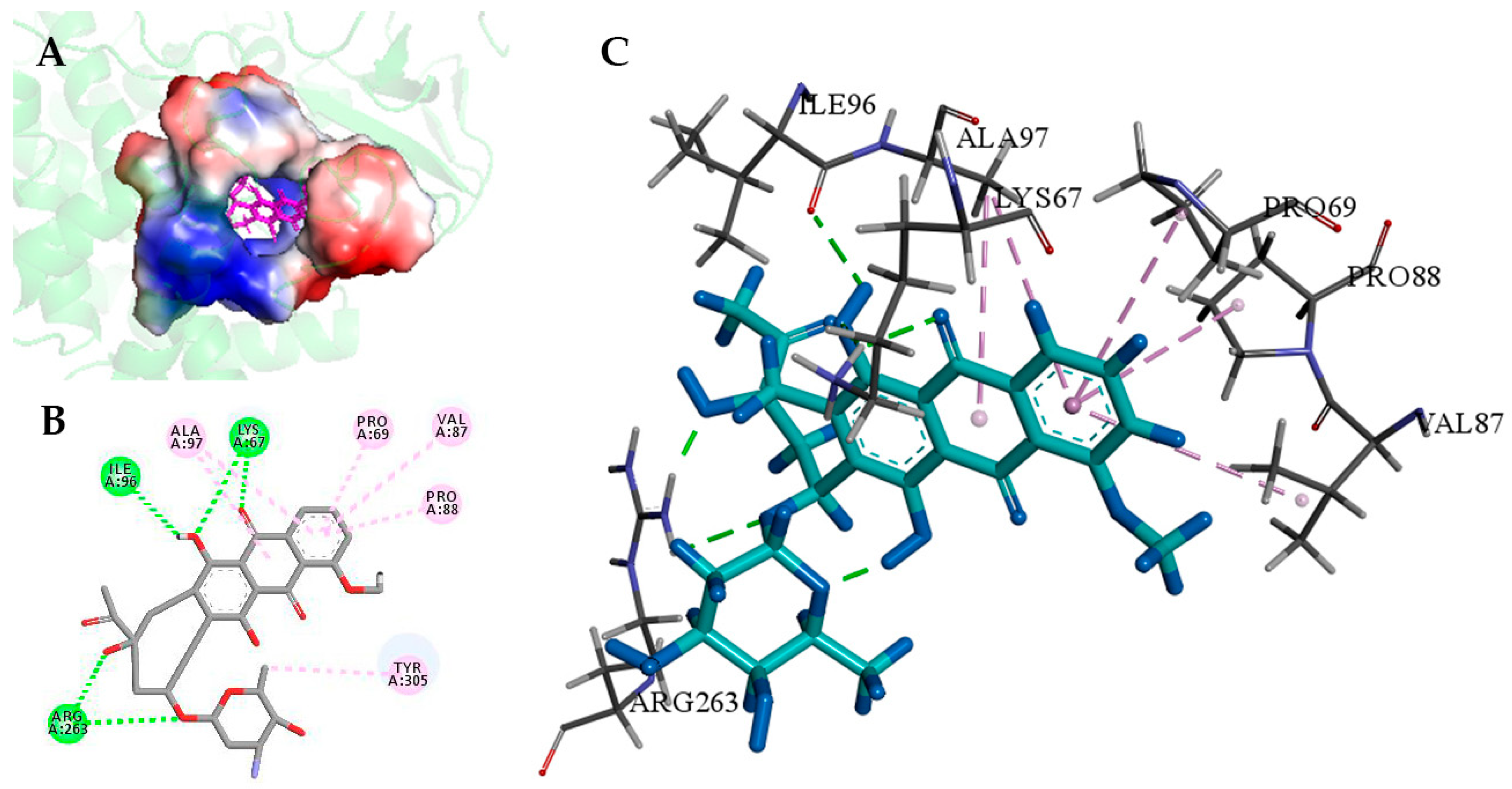 Ijms 24 08337 g003 Ijms 24 08337 g003