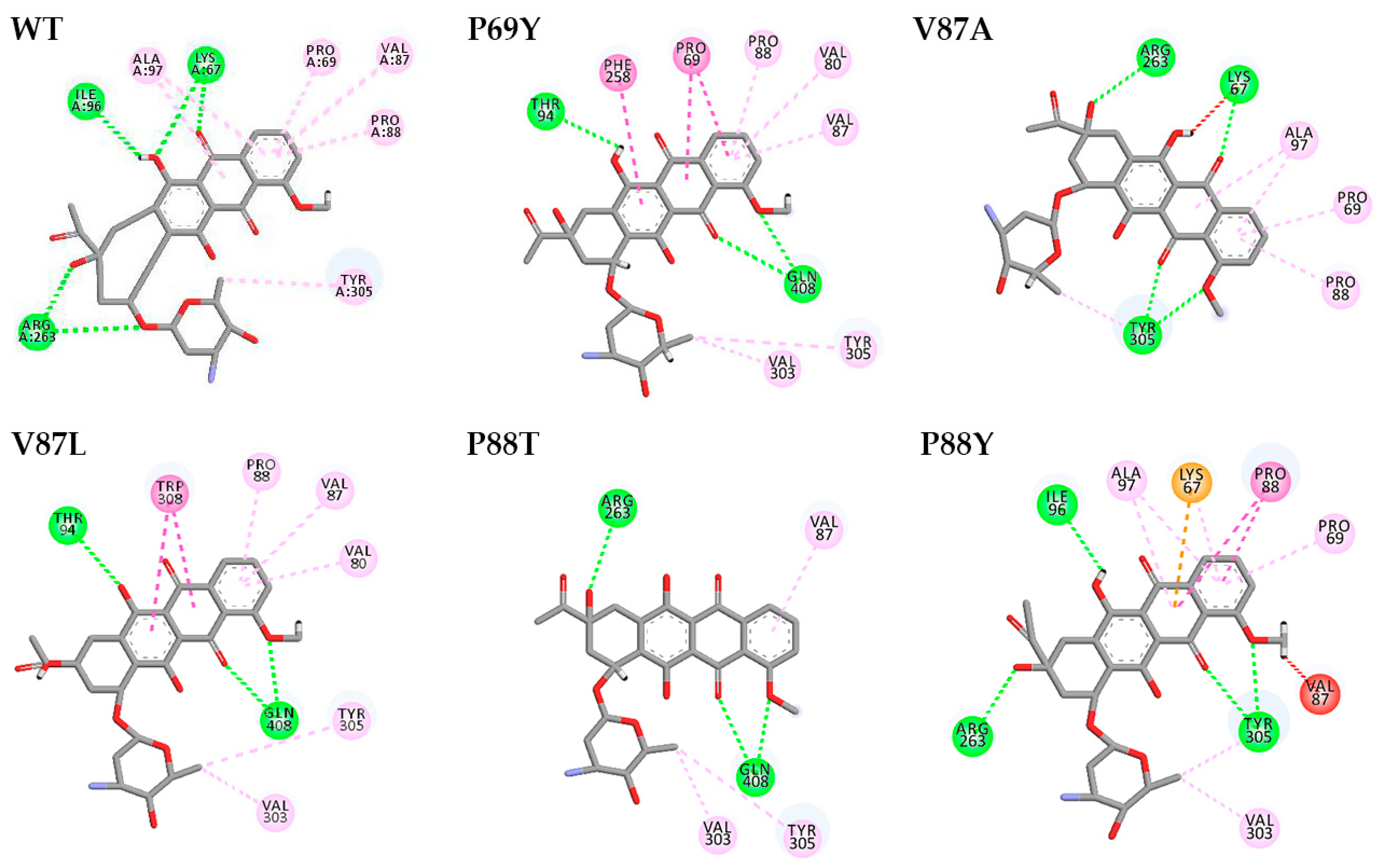 Ijms 24 08337 g007 Ijms 24 08337 g007