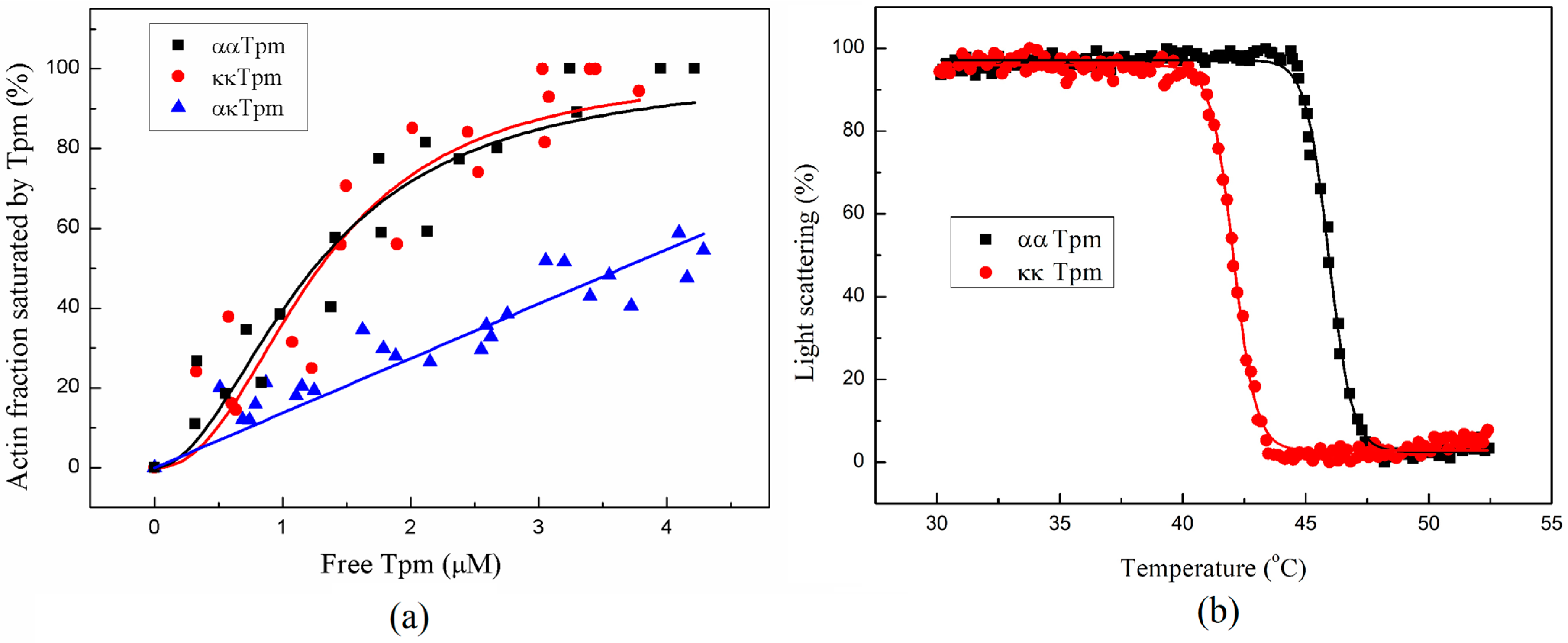 Ijms 24 08340 g007 Ijms 24 08340 g007