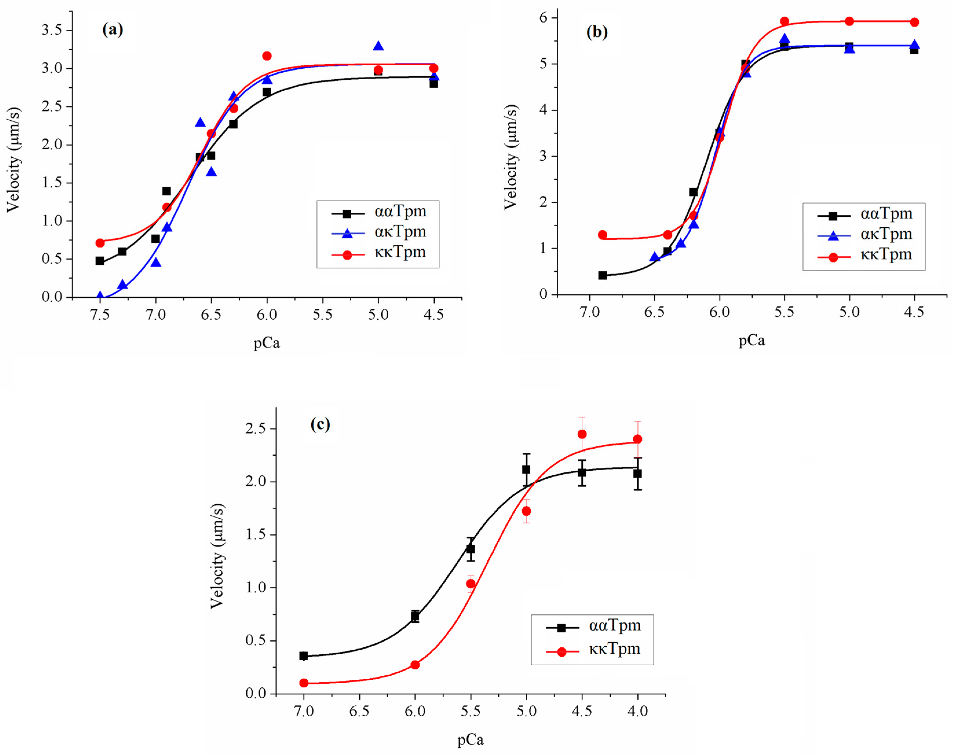 Ijms 24 08340 g008 Ijms 24 08340 g008