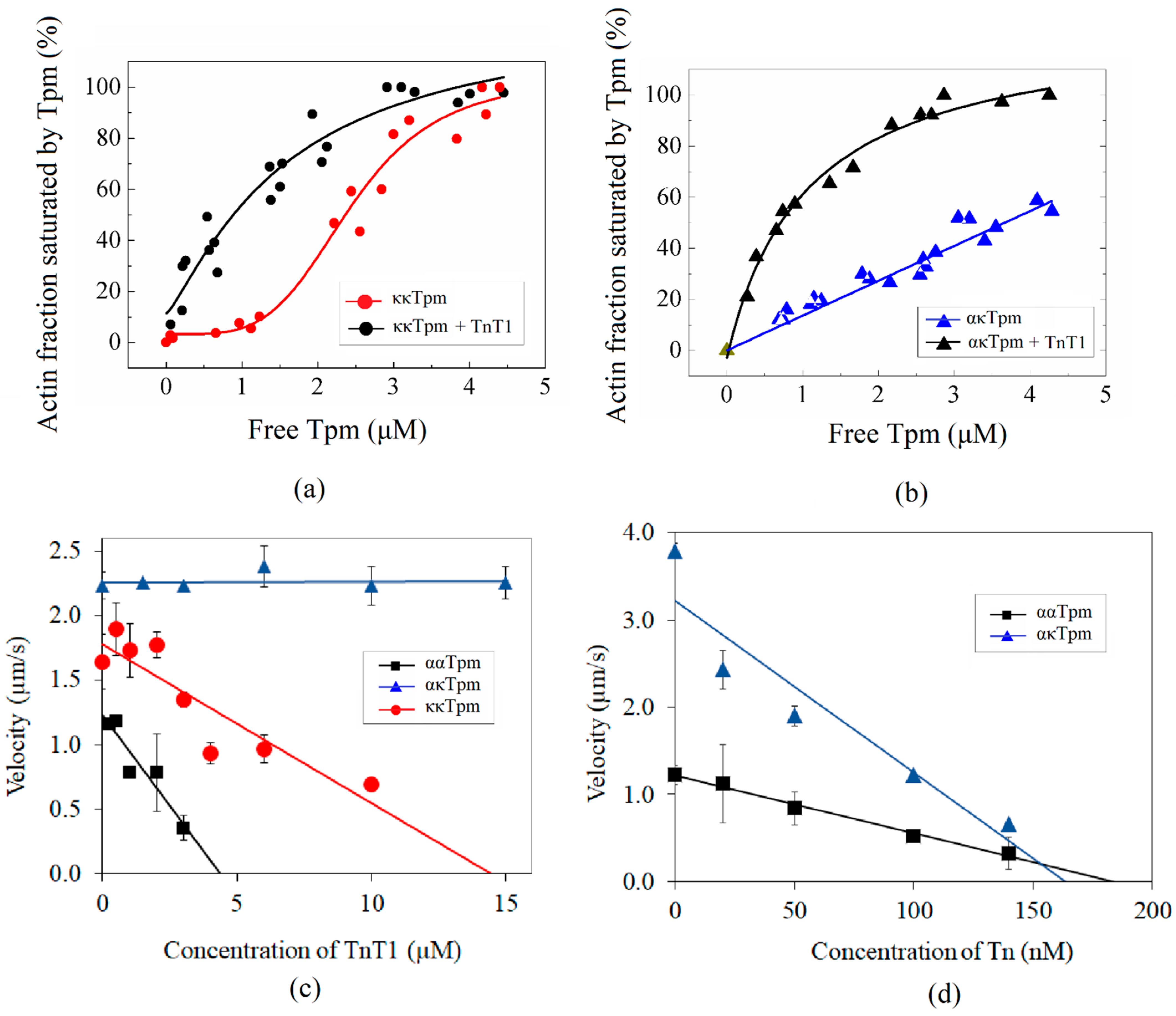 Ijms 24 08340 g010 Ijms 24 08340 g010