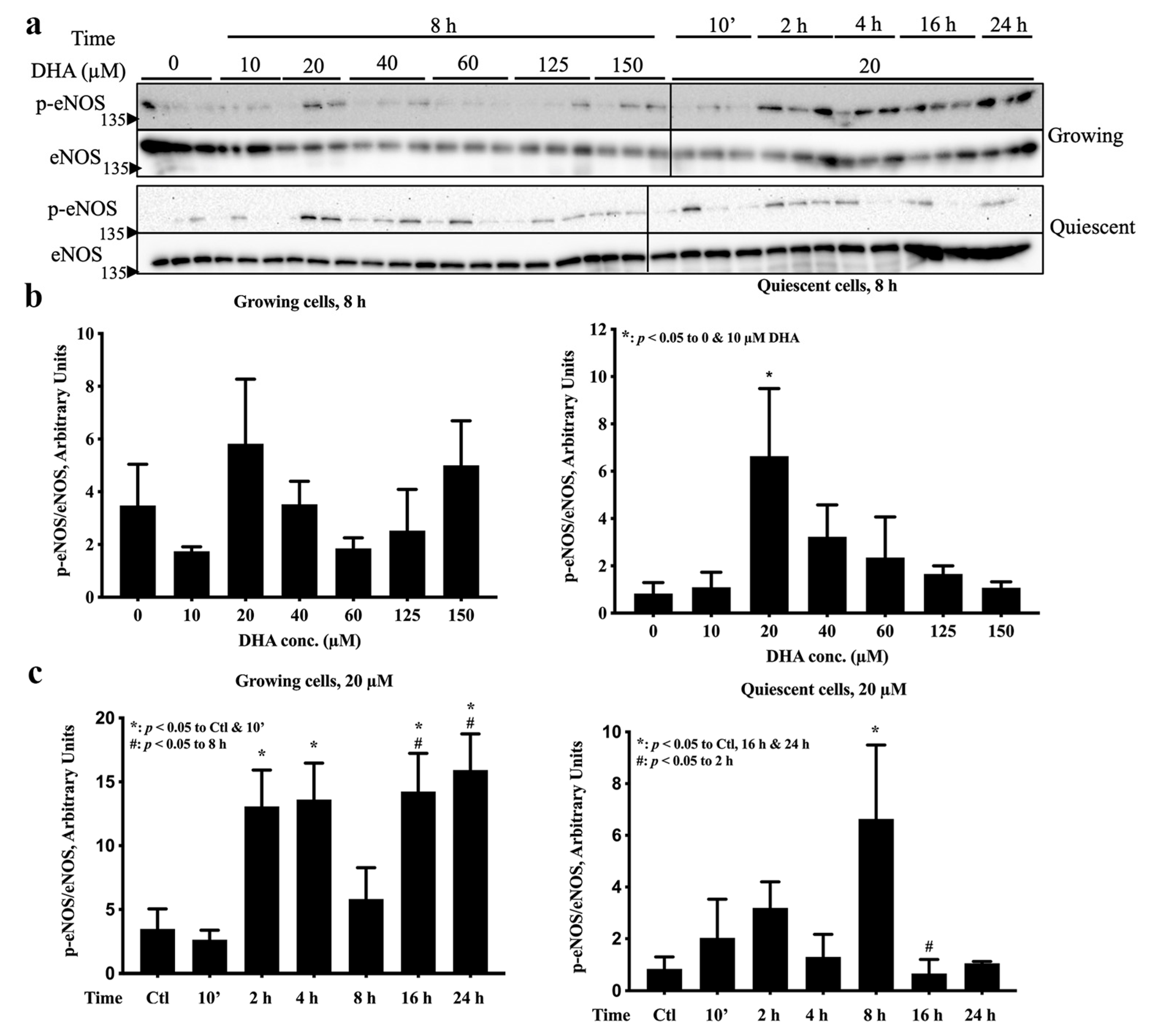 Ijms 24 08346 g001a Ijms 24 08346 g001a