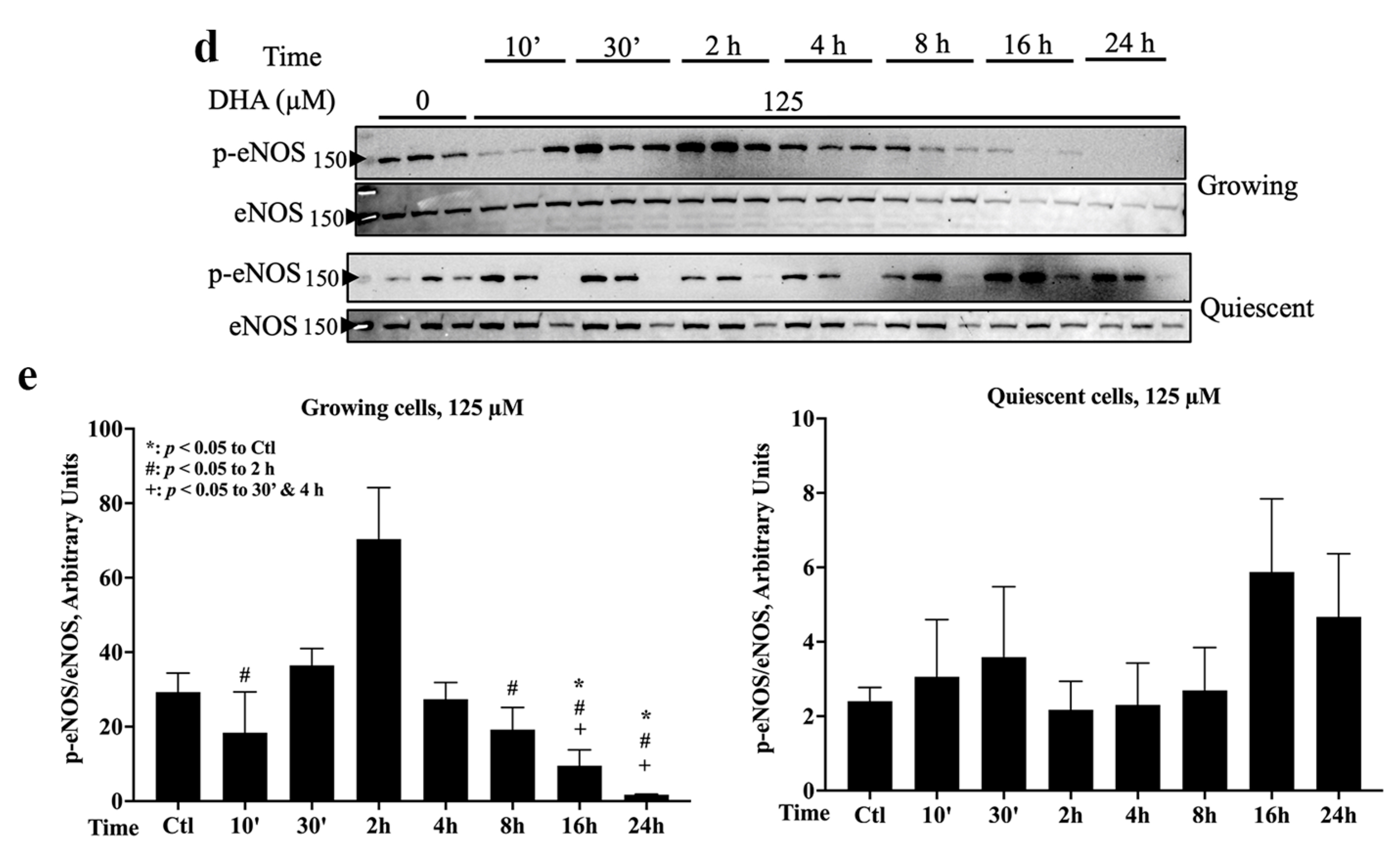 Ijms 24 08346 g001b Ijms 24 08346 g001b