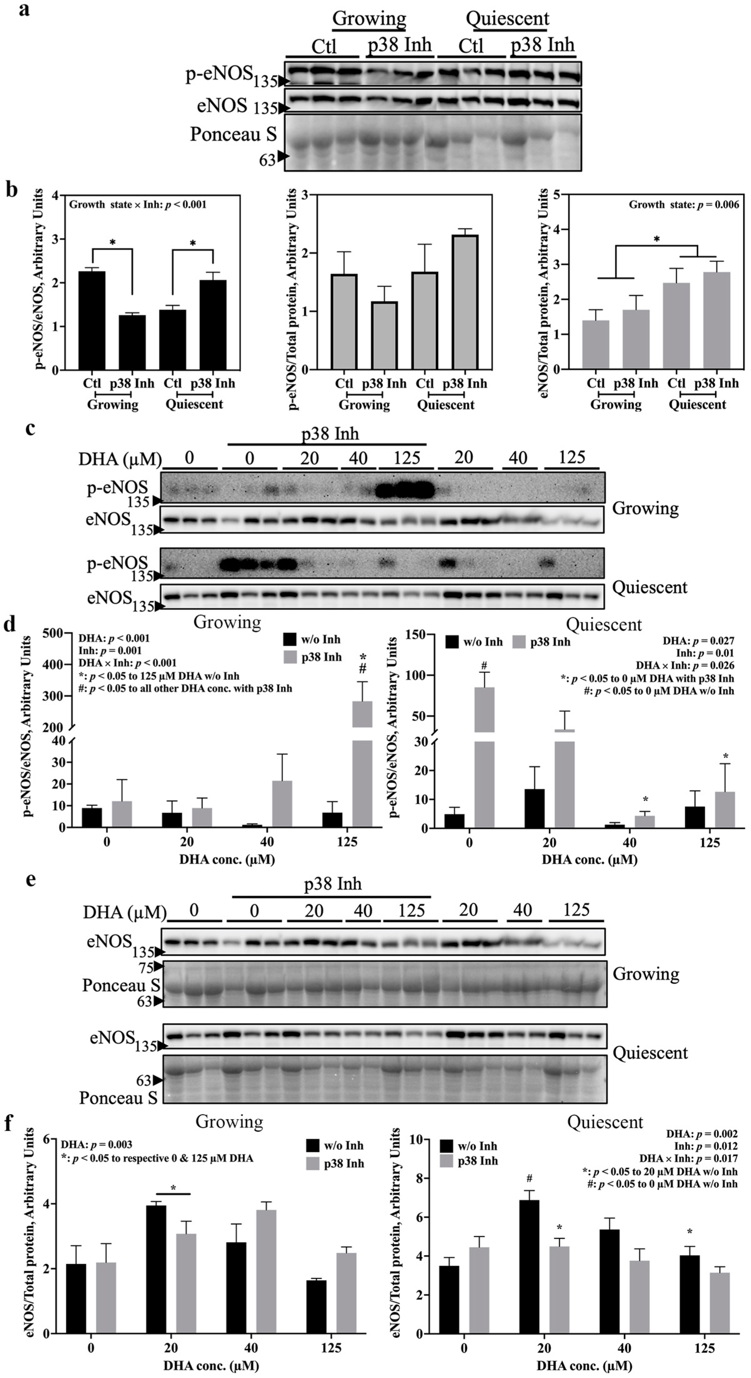 Ijms 24 08346 g003 Ijms 24 08346 g003