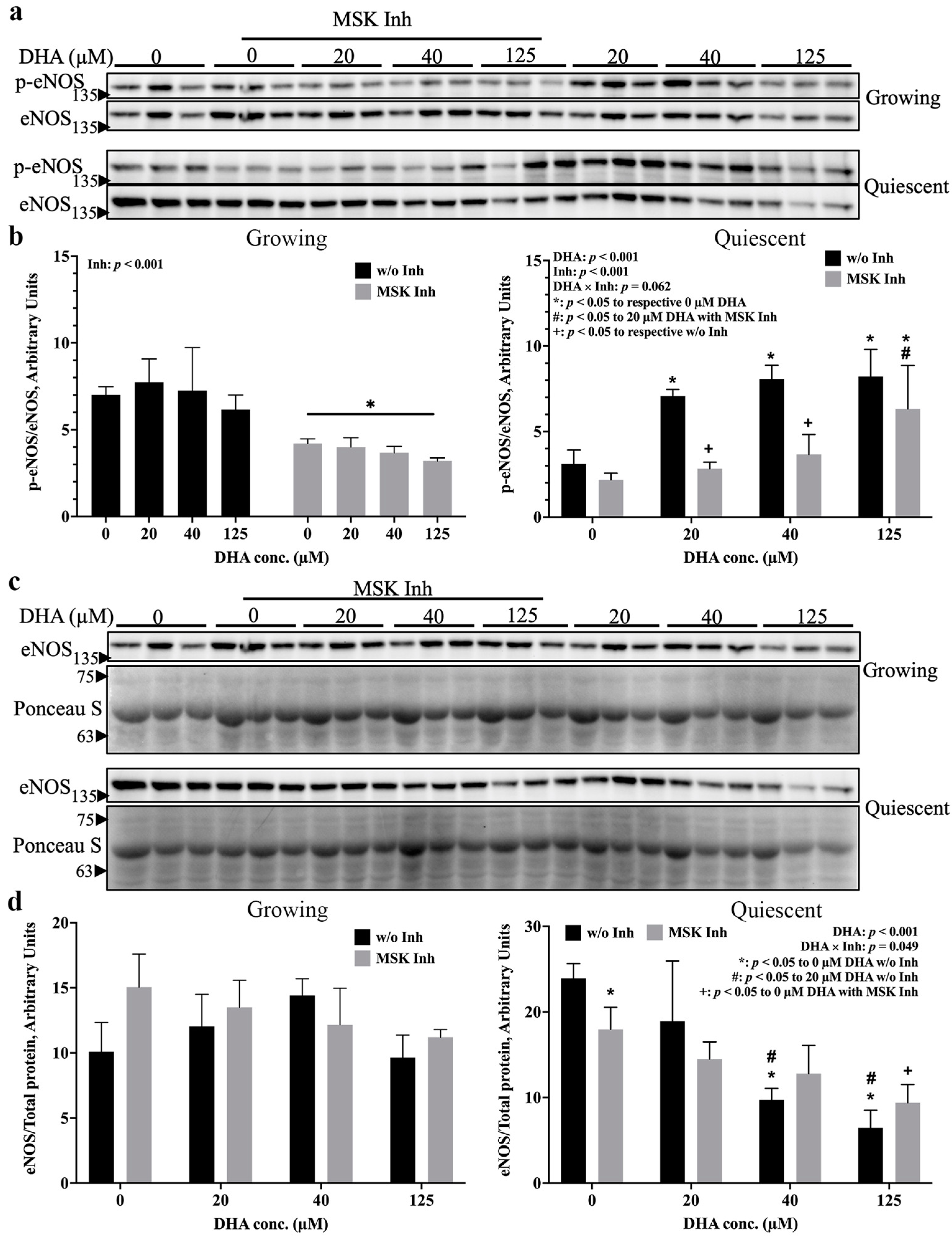 Ijms 24 08346 g004 Ijms 24 08346 g004