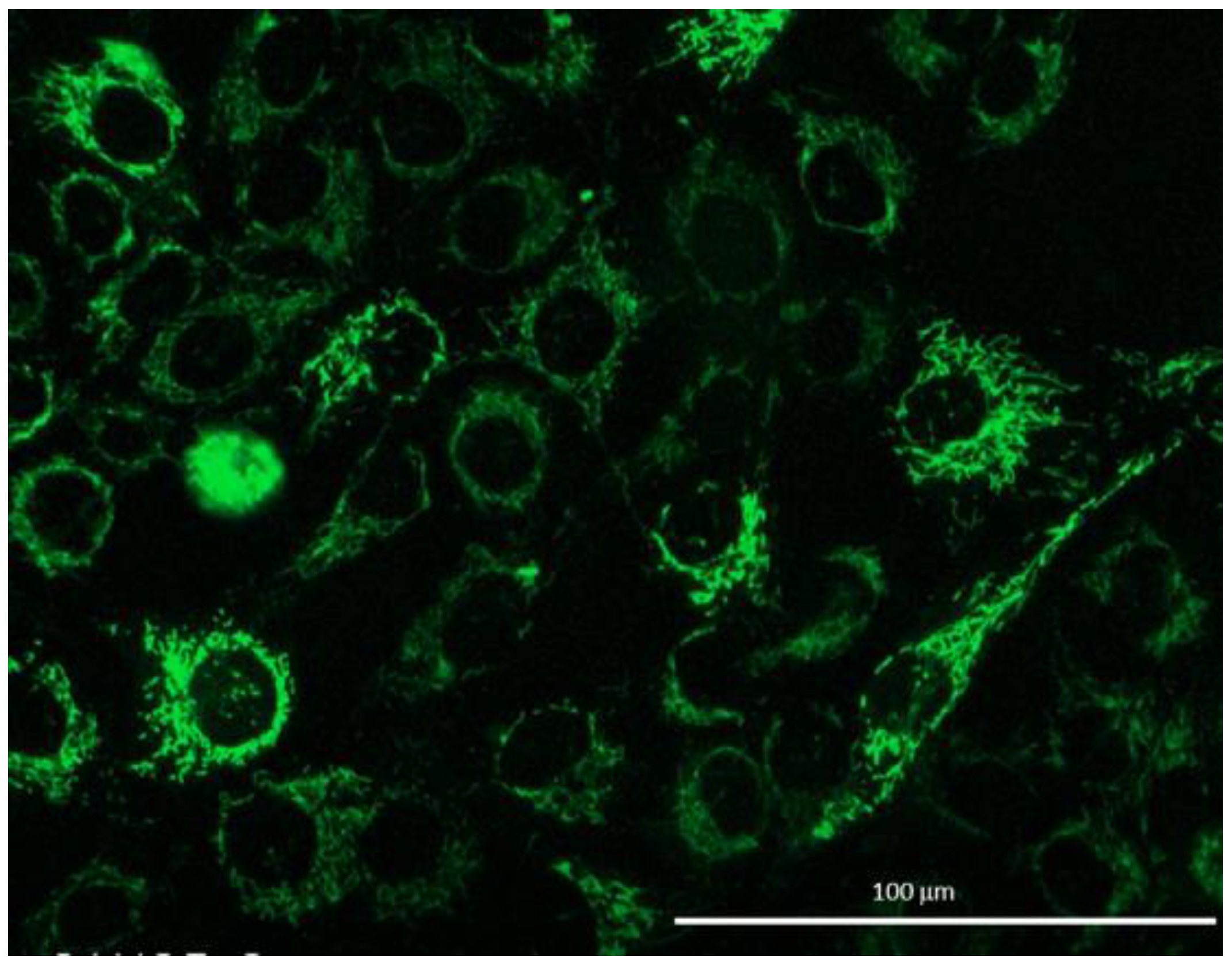 Ijms 24 08354 g002 Ijms 24 08354 g002