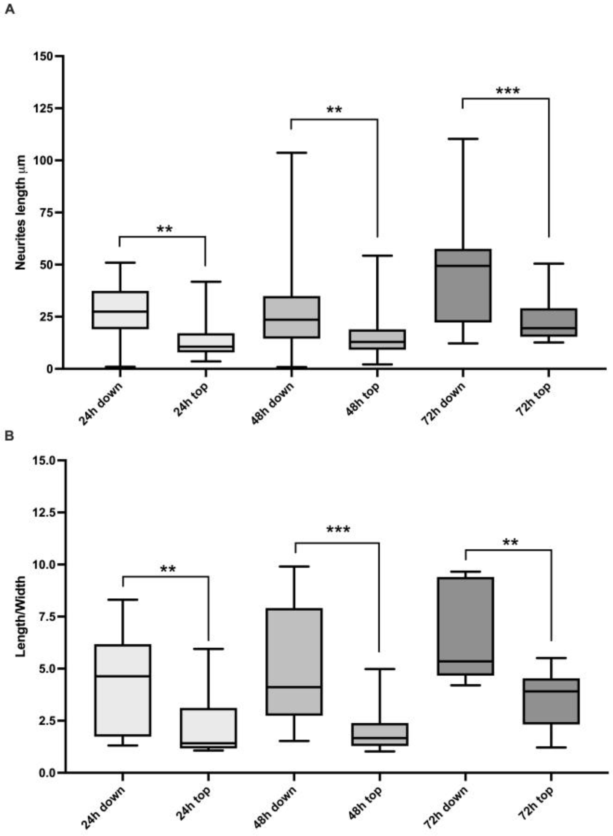 Ijms 24 08354 g003 Ijms 24 08354 g003