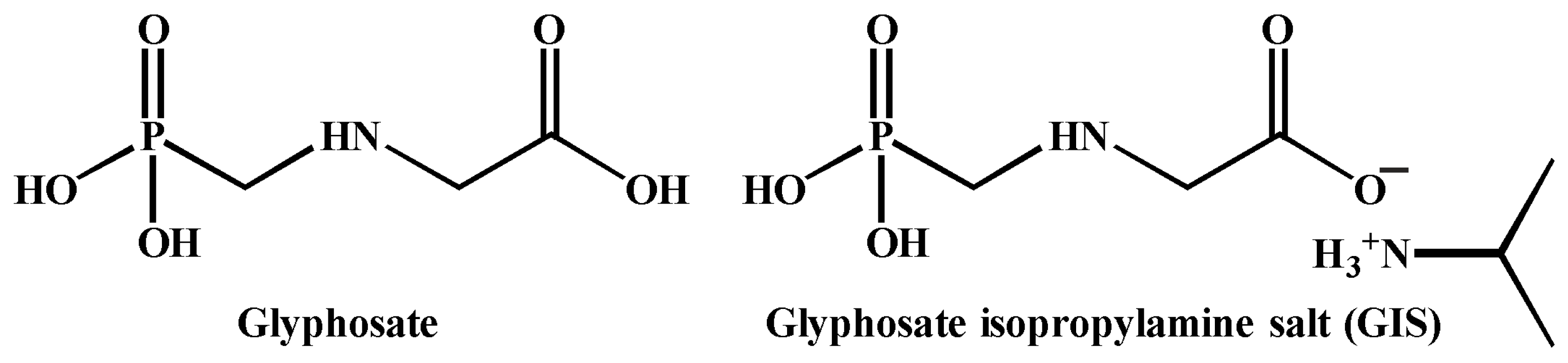 Ijms 24 08357 g004 Ijms 24 08357 g004