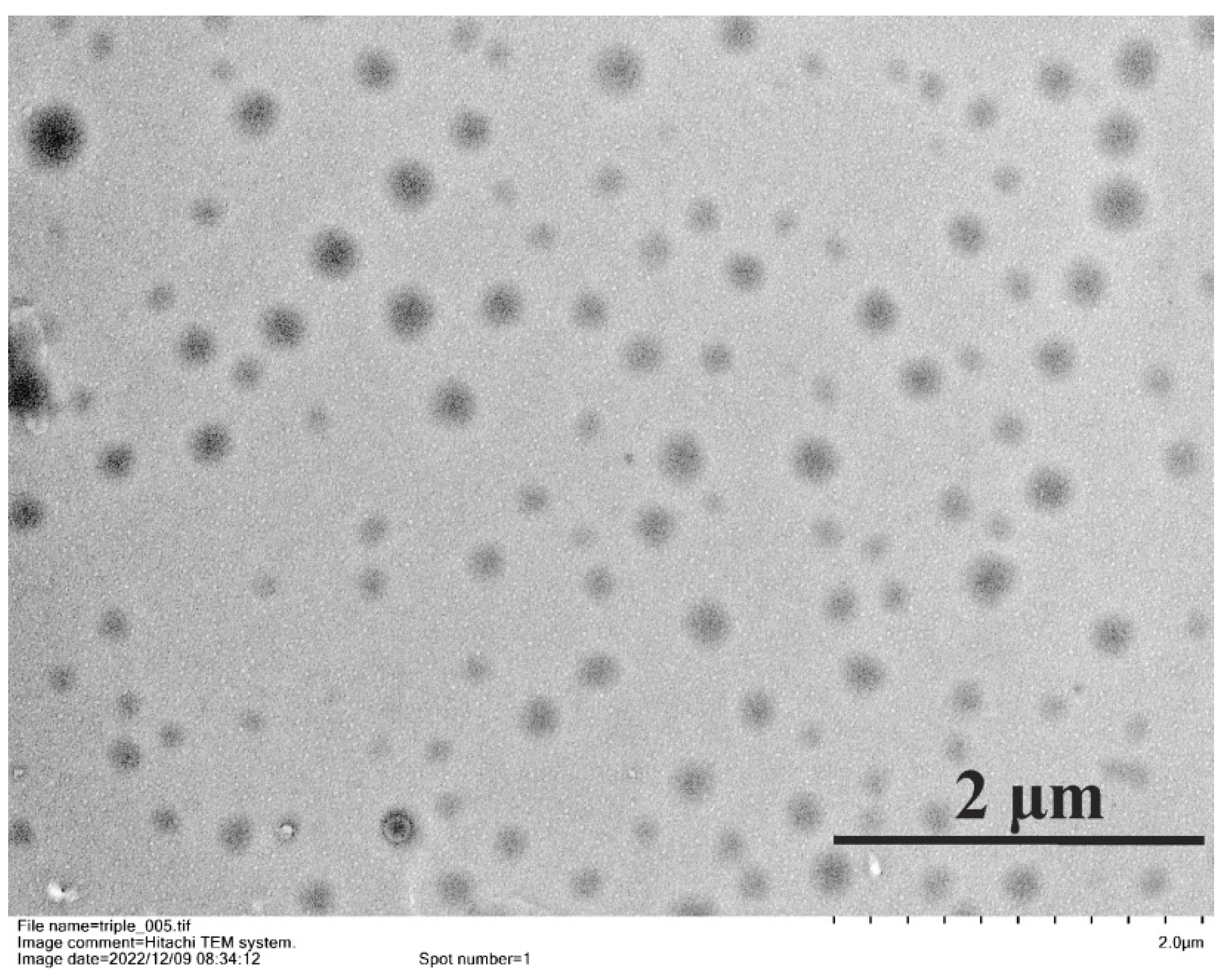 Ijms 24 08357 g008 Ijms 24 08357 g008