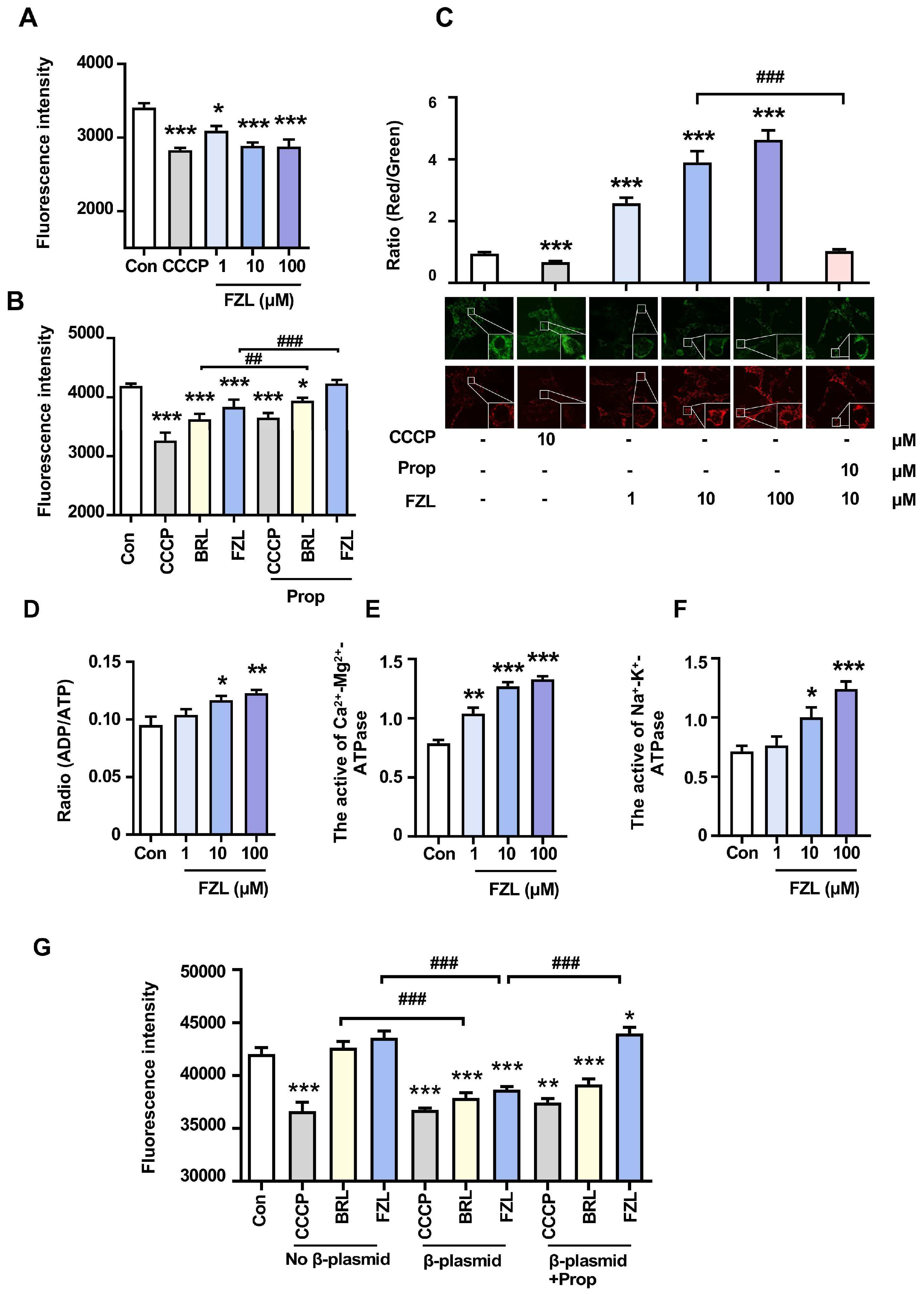 Ijms 24 08362 g002 Ijms 24 08362 g002