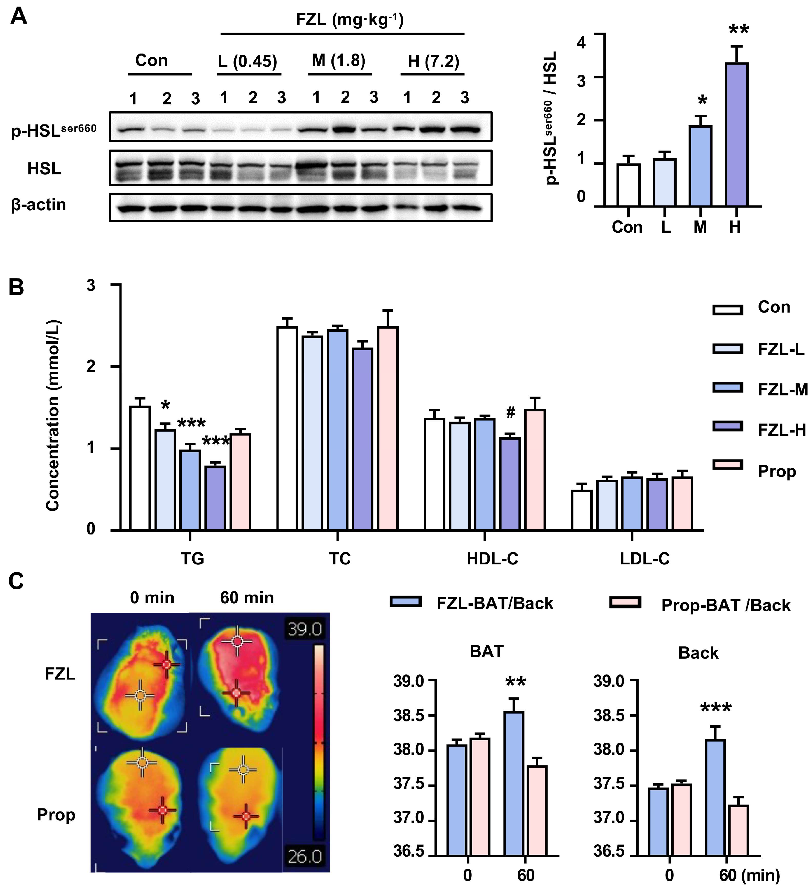 Ijms 24 08362 g003 Ijms 24 08362 g003