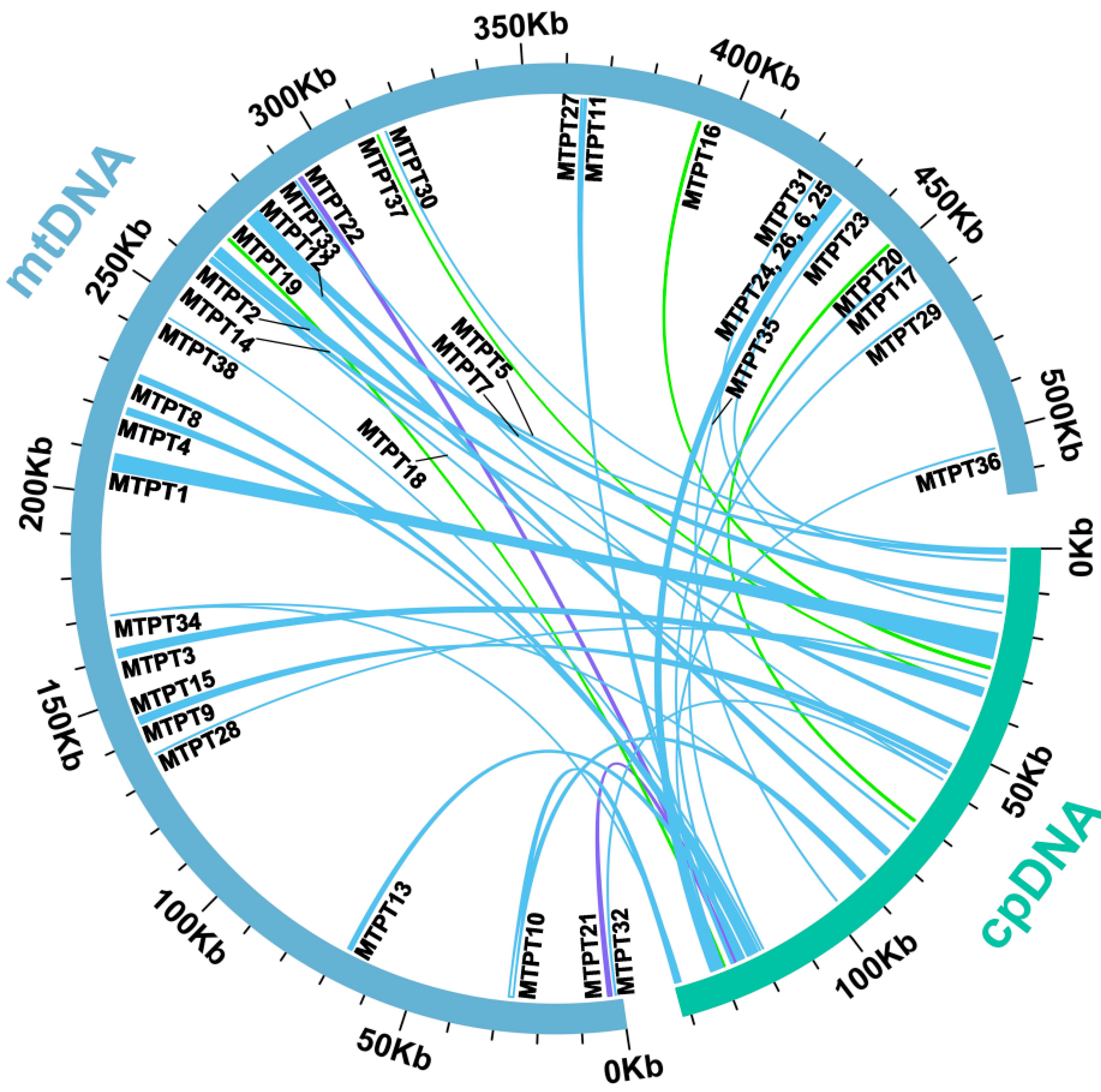 Ijms 24 08366 g006 Ijms 24 08366 g006