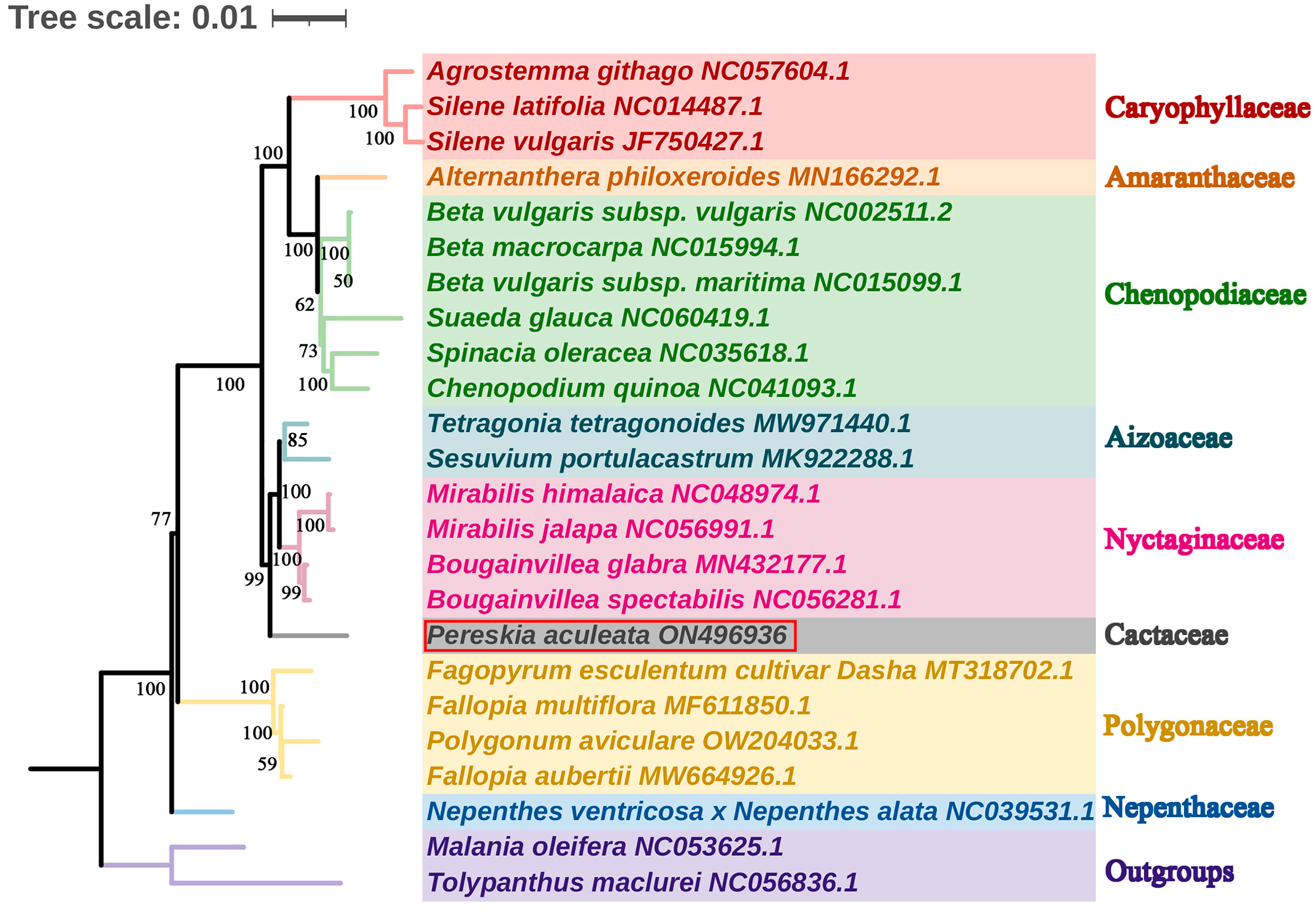 Ijms 24 08366 g008 Ijms 24 08366 g008