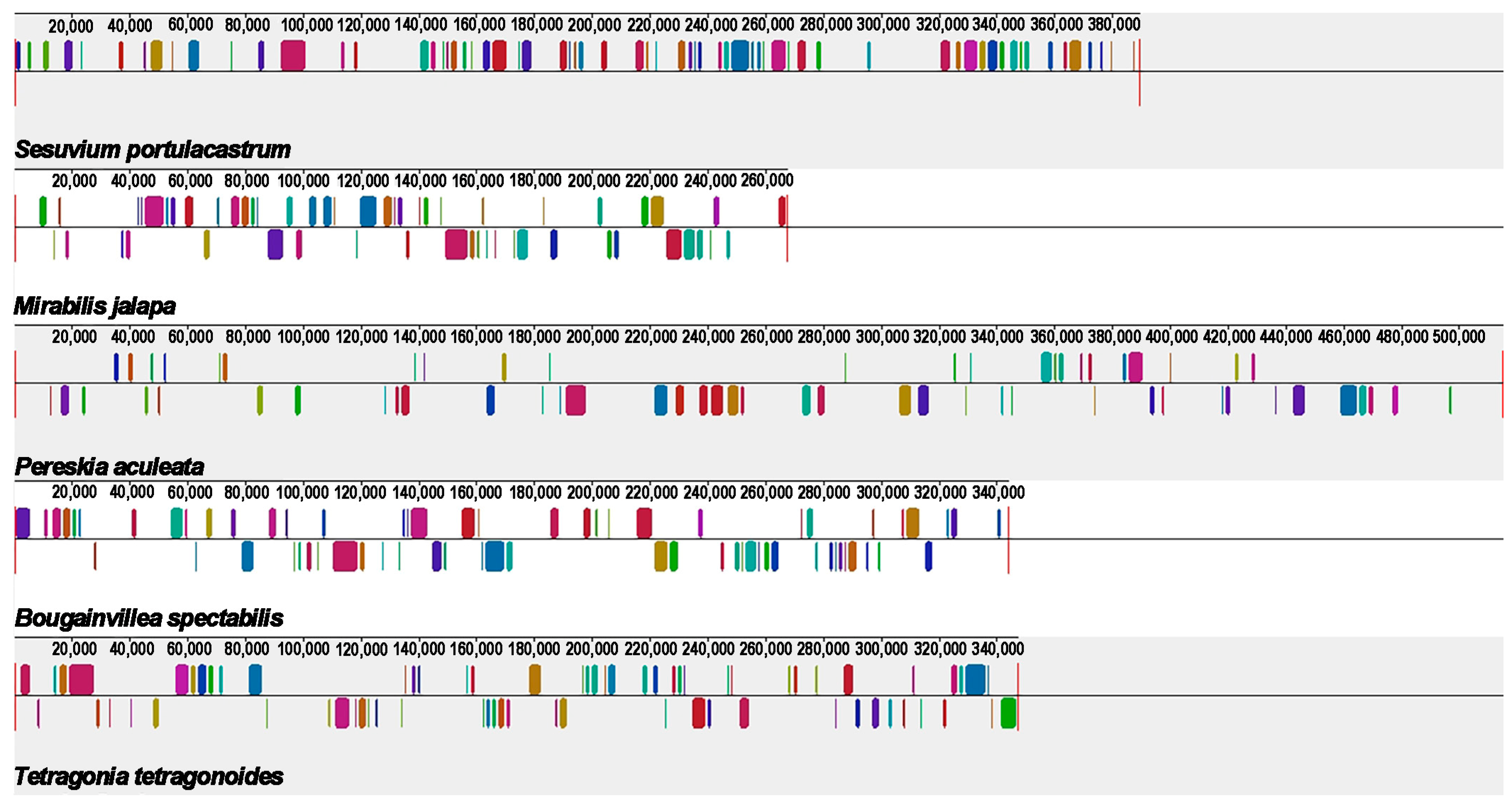 Ijms 24 08366 g009 Ijms 24 08366 g009