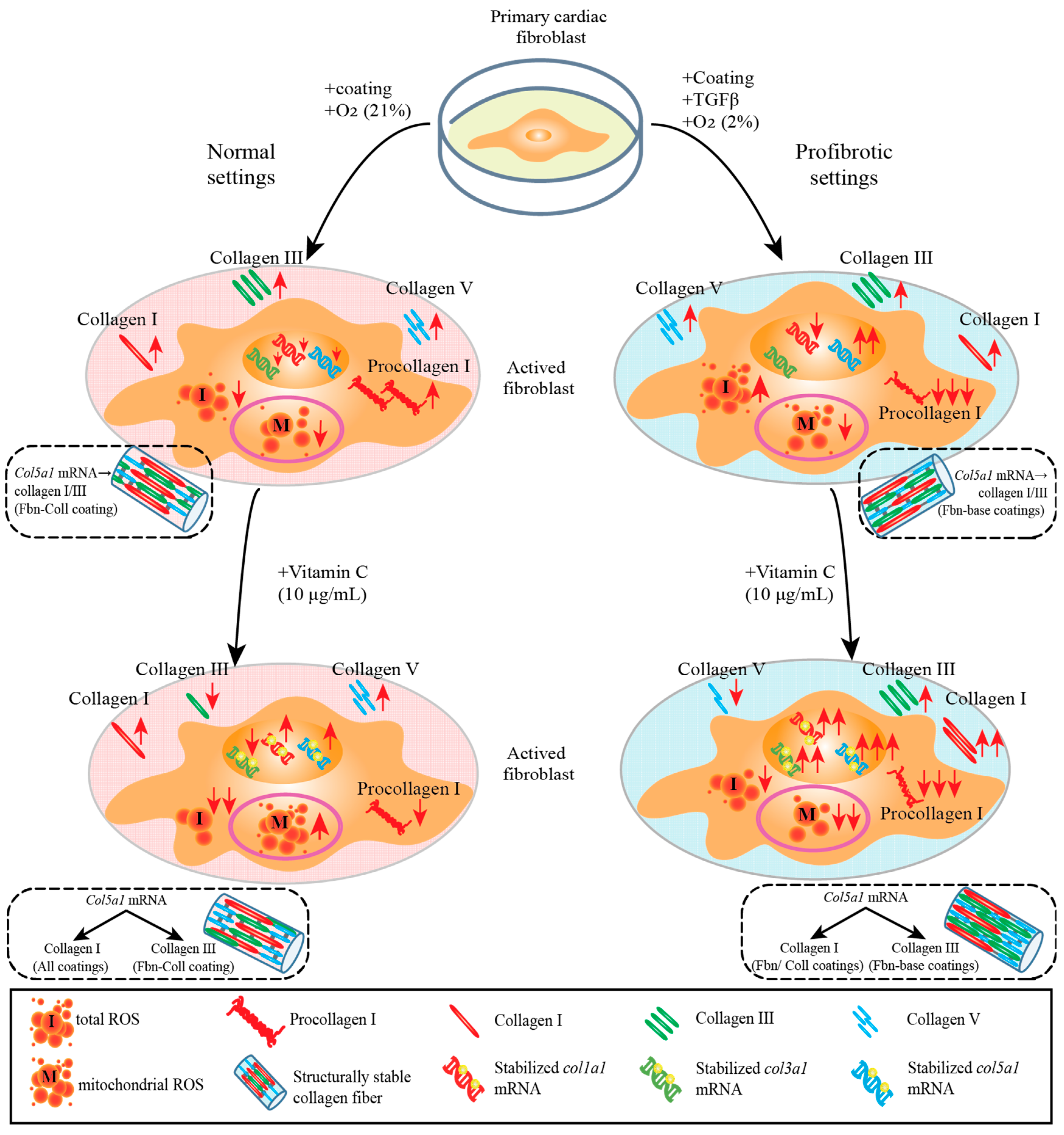 Ijms 24 08379 g009 Ijms 24 08379 g009