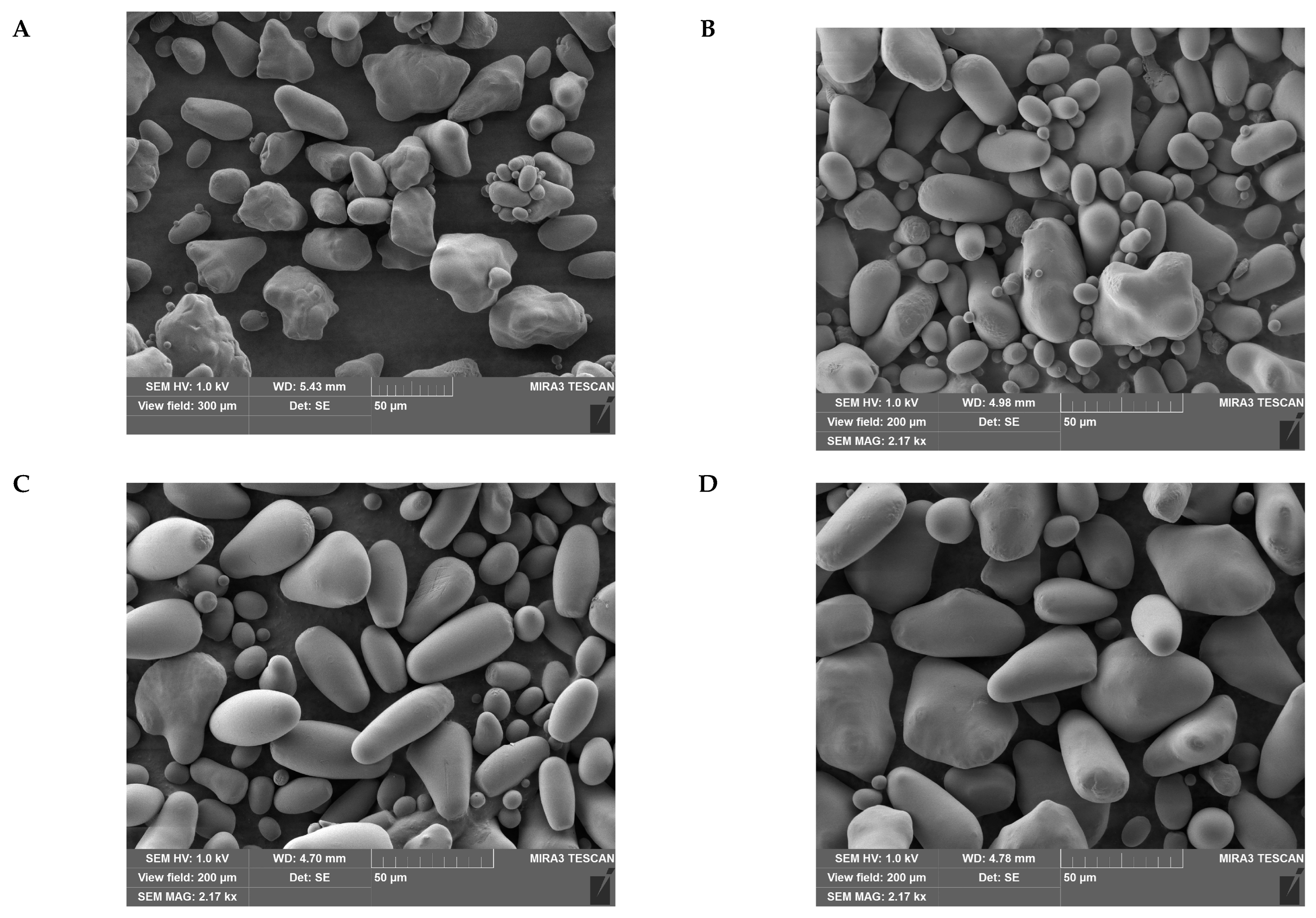 Ijms 24 08397 g003 Ijms 24 08397 g003