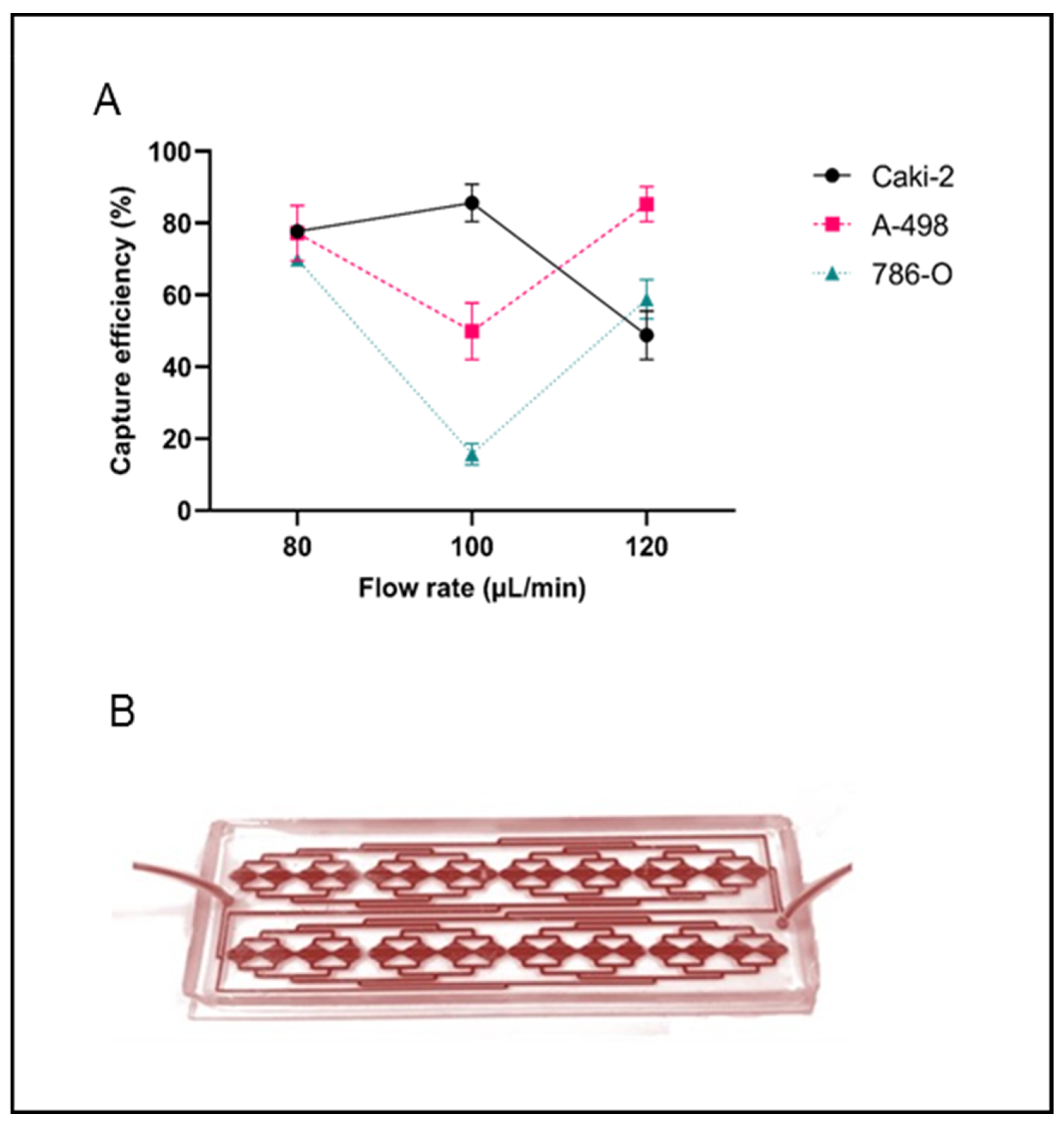Ijms 24 08404 g001 Ijms 24 08404 g001